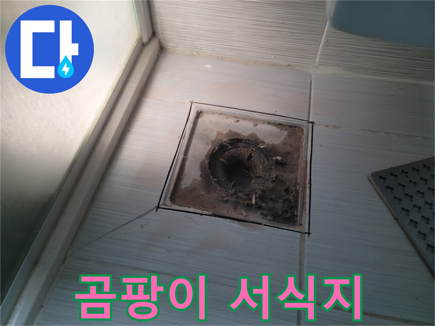 신창비바패밀리 욕실 배수구 주변 - 곰팡이 서식지 발견, 건강까지 위협!
