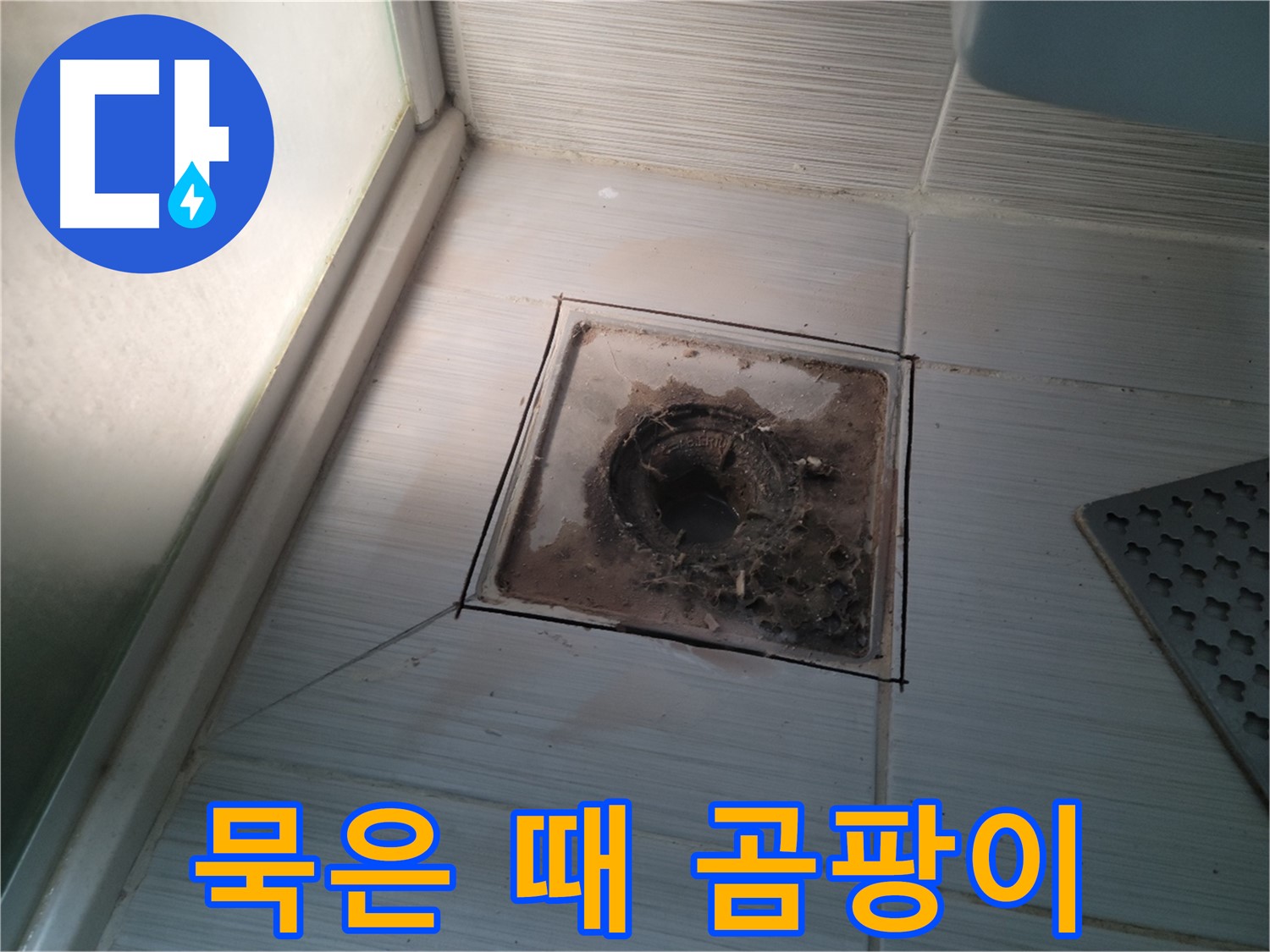 신창비바패밀리 욕실 배수구 주변 - 묵은 때와 곰팡이의 습격, 누수 위험!