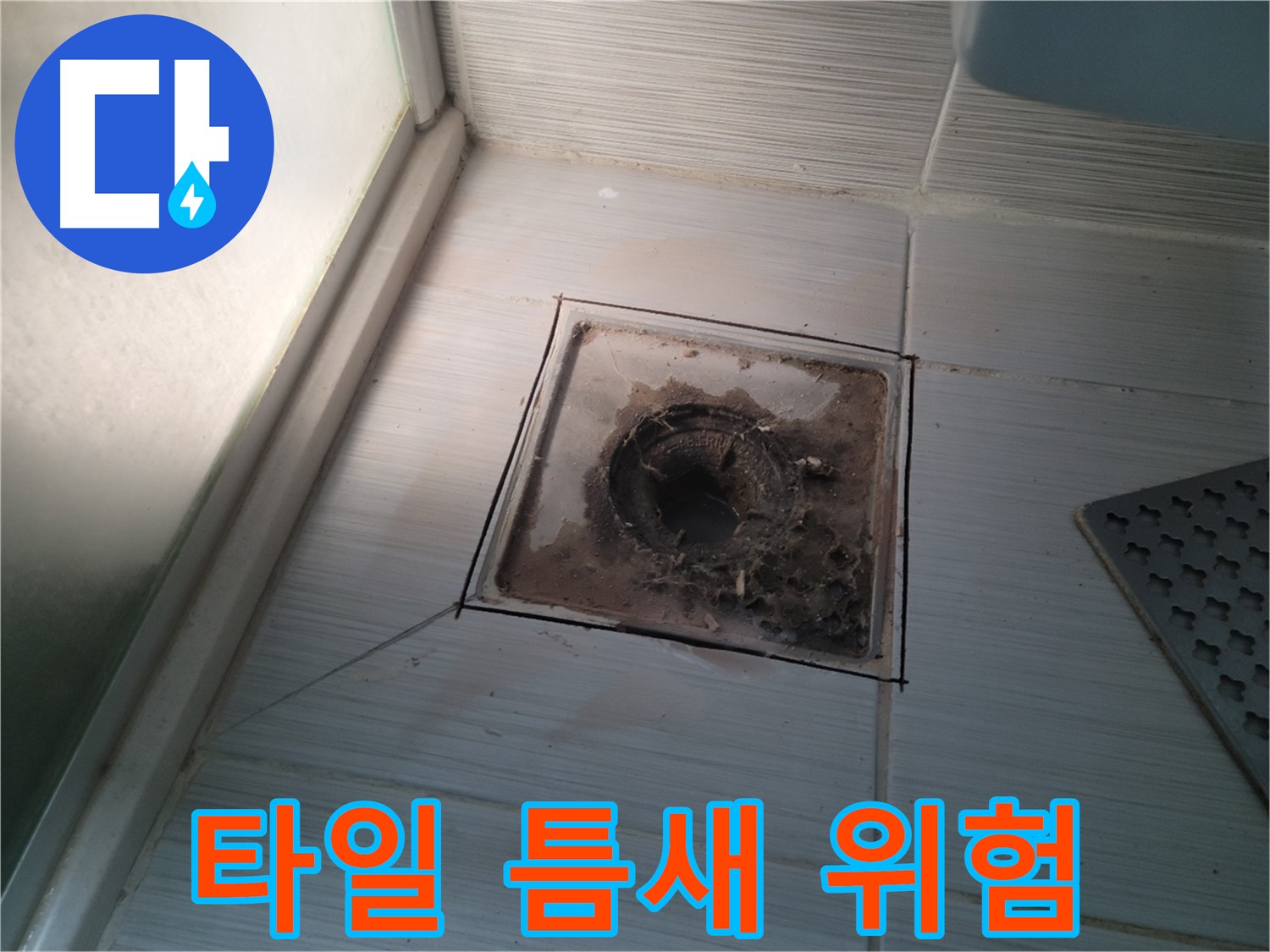 신창비바패밀리 욕실 배수구 - 타일 틈새의 숨겨진 위험, 누수 원인!