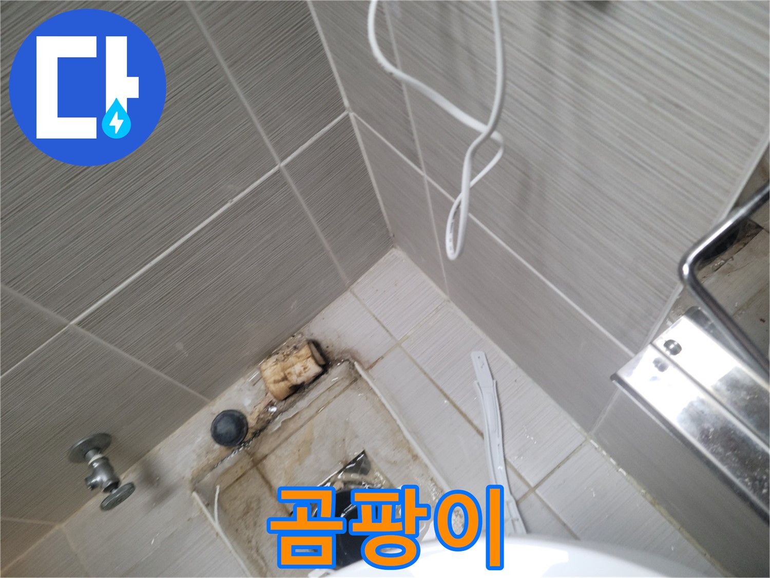 아파트 욕실 배수구 주변 - 곰팡이