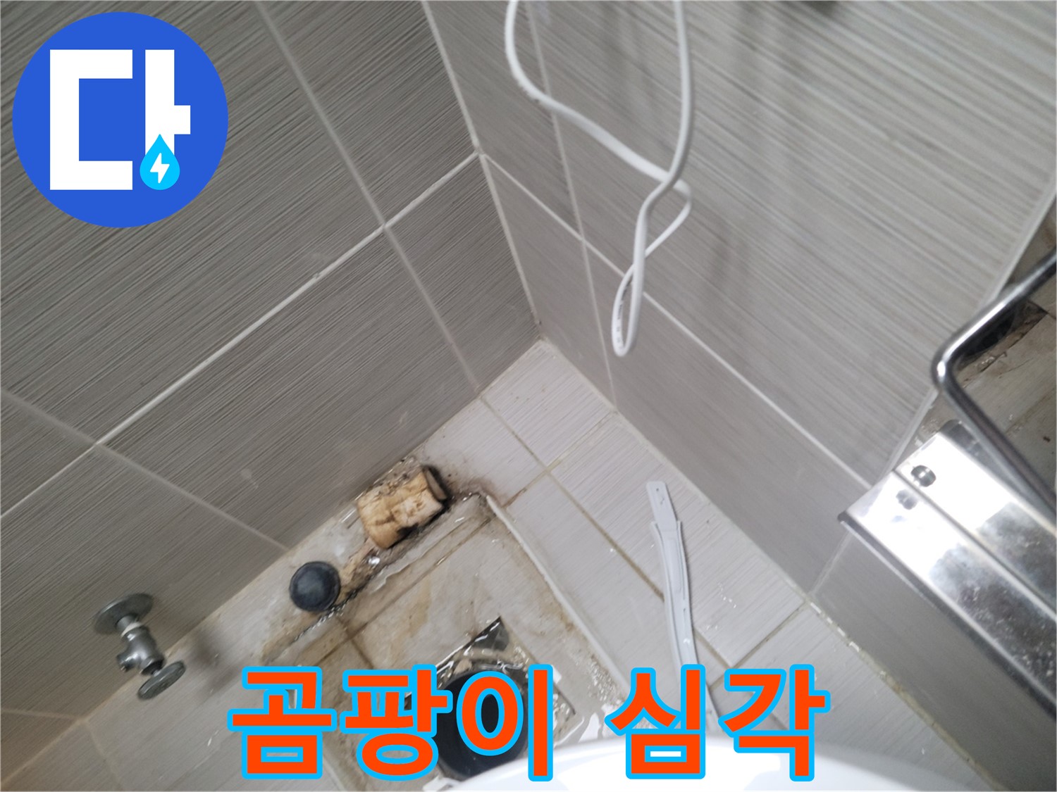 아파트 욕실 하수구 주변 - 곰팡이 심각