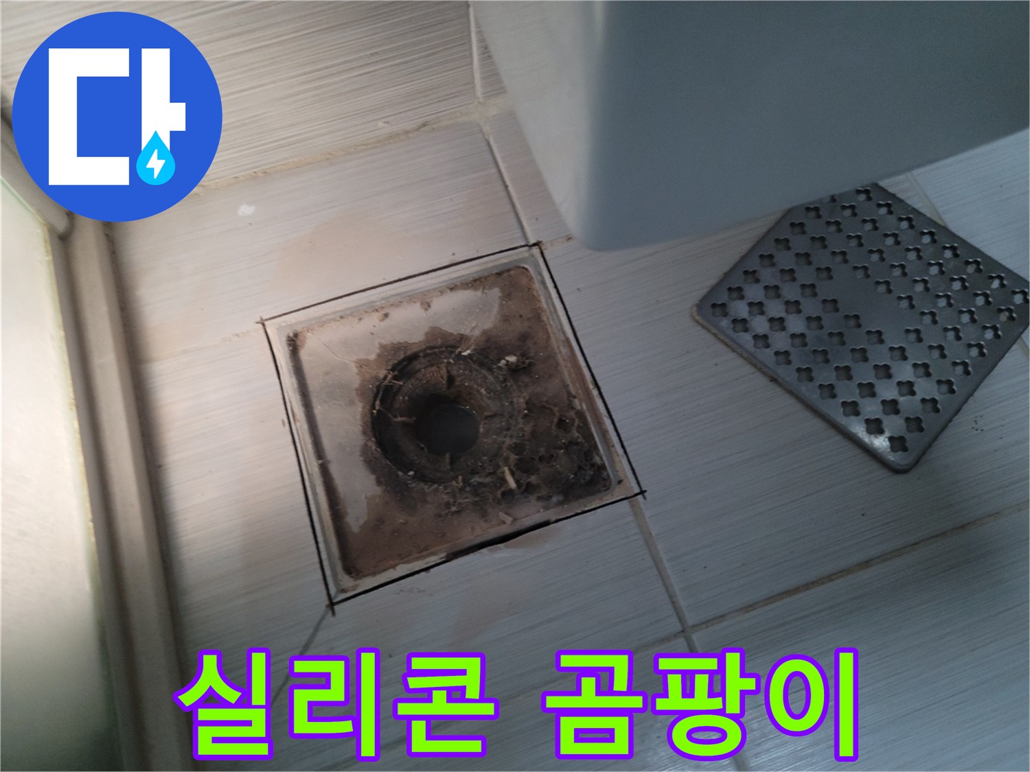 욕실 배수구 주변 - 실리콘 곰팡이 - 곰팡이 제거 후 항균 실리콘 시공