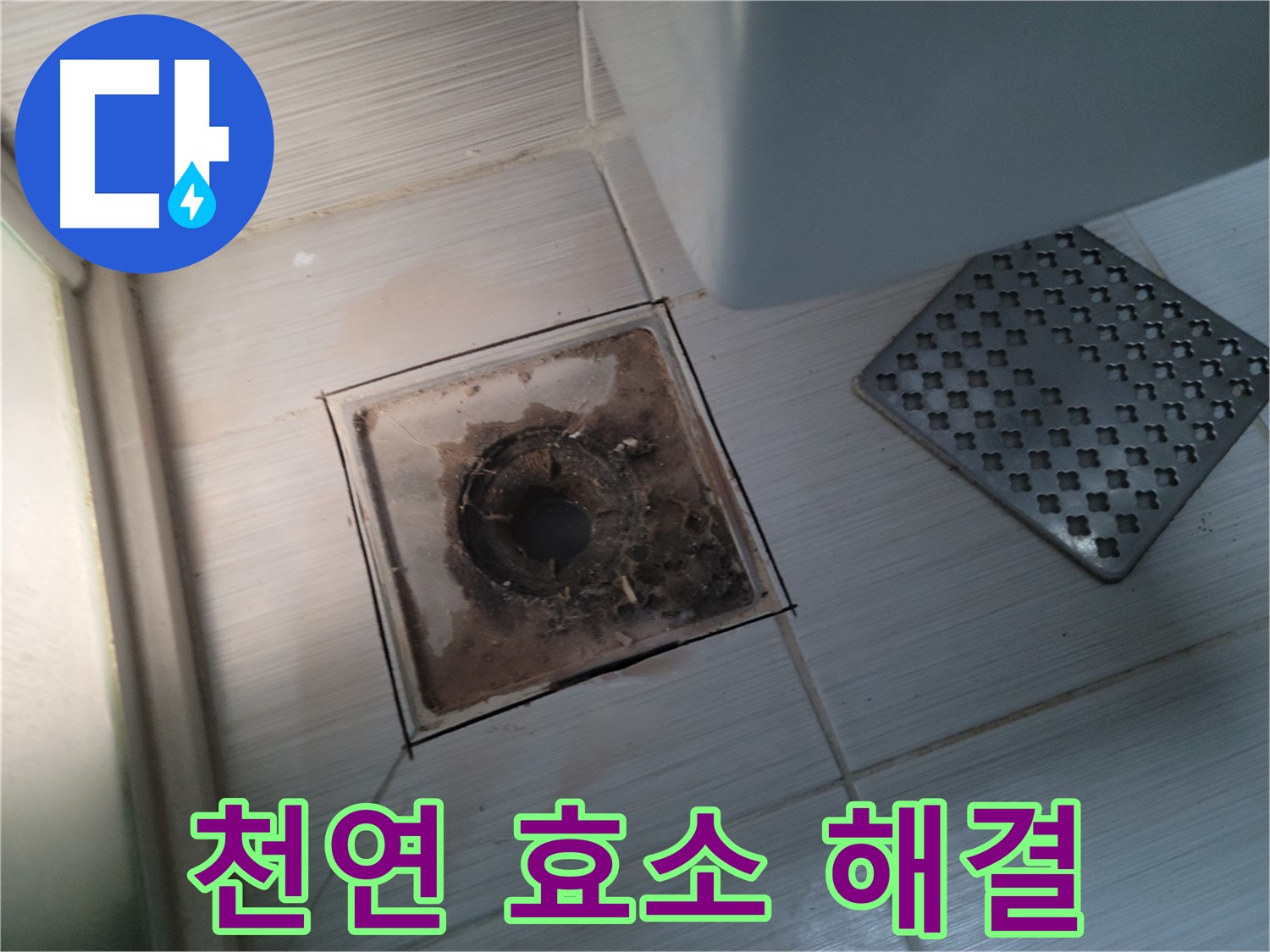 욕실 배수구 - 천연 효소 세정제 - 안심하고 사용