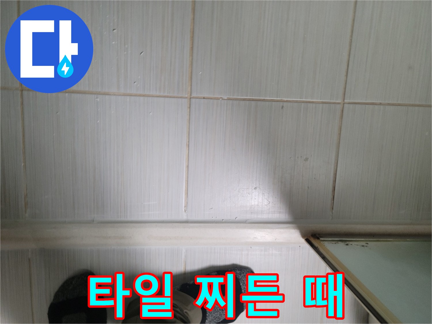 타일 틈새 찌든 때 - 곰팡이 영양분 공급원!