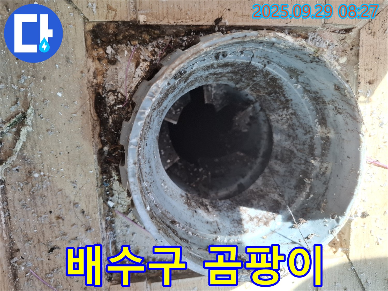 양주시 광적면 우고리 - 배수구 주변 곰팡이 발생으로 인한 건강 위협