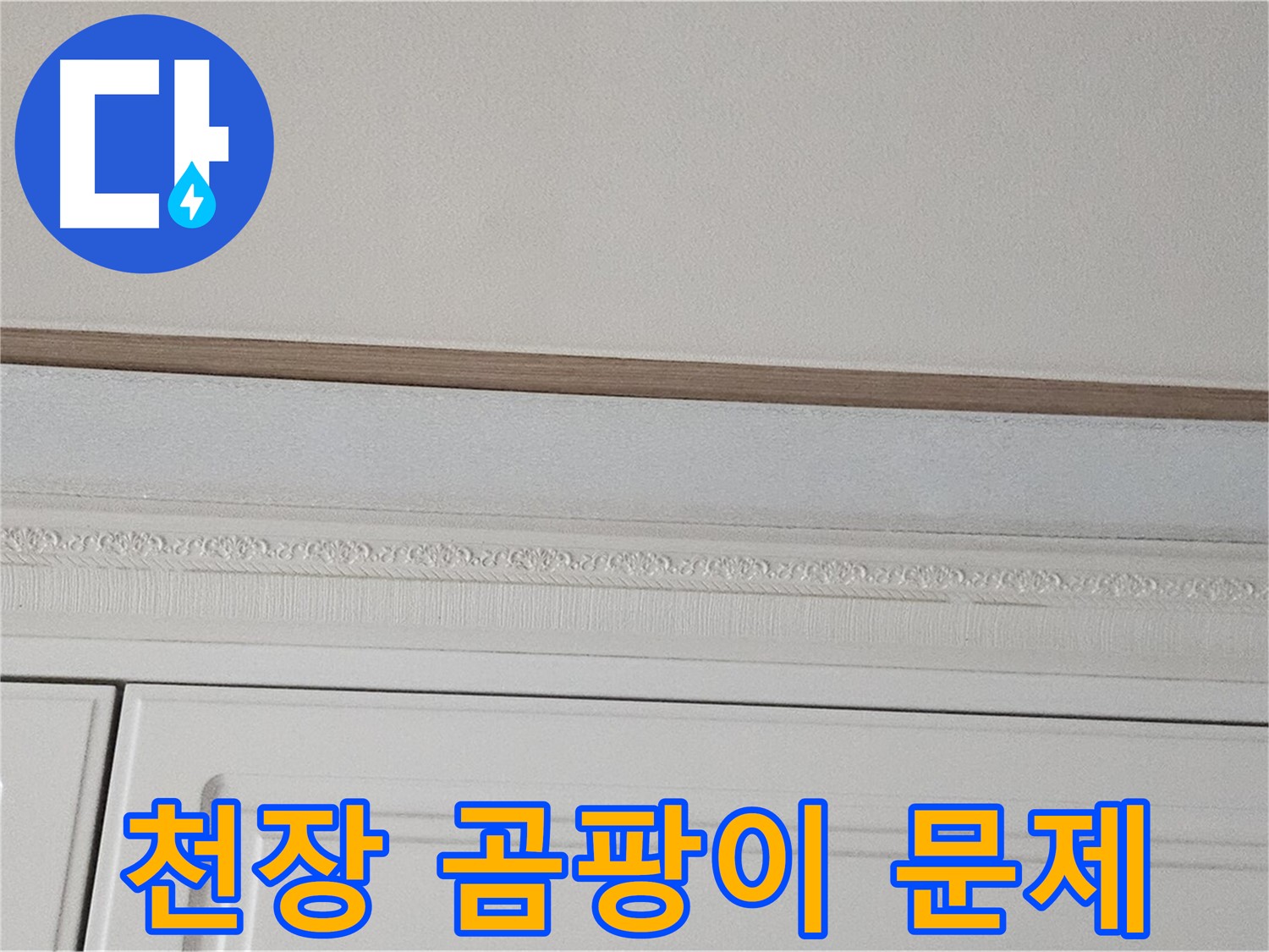 도봉구 현대시티 누수 - 가구 위 천장 곰팡이 문제