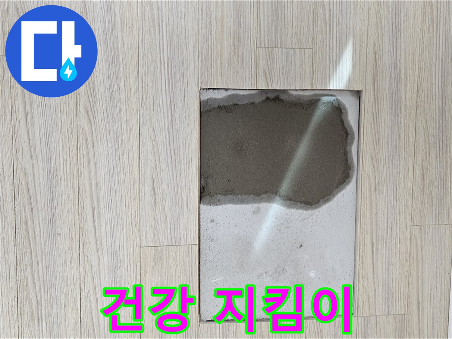 도봉구 현대시티 마루 곰팡이 - 건강을 지키는 확실한 선택
