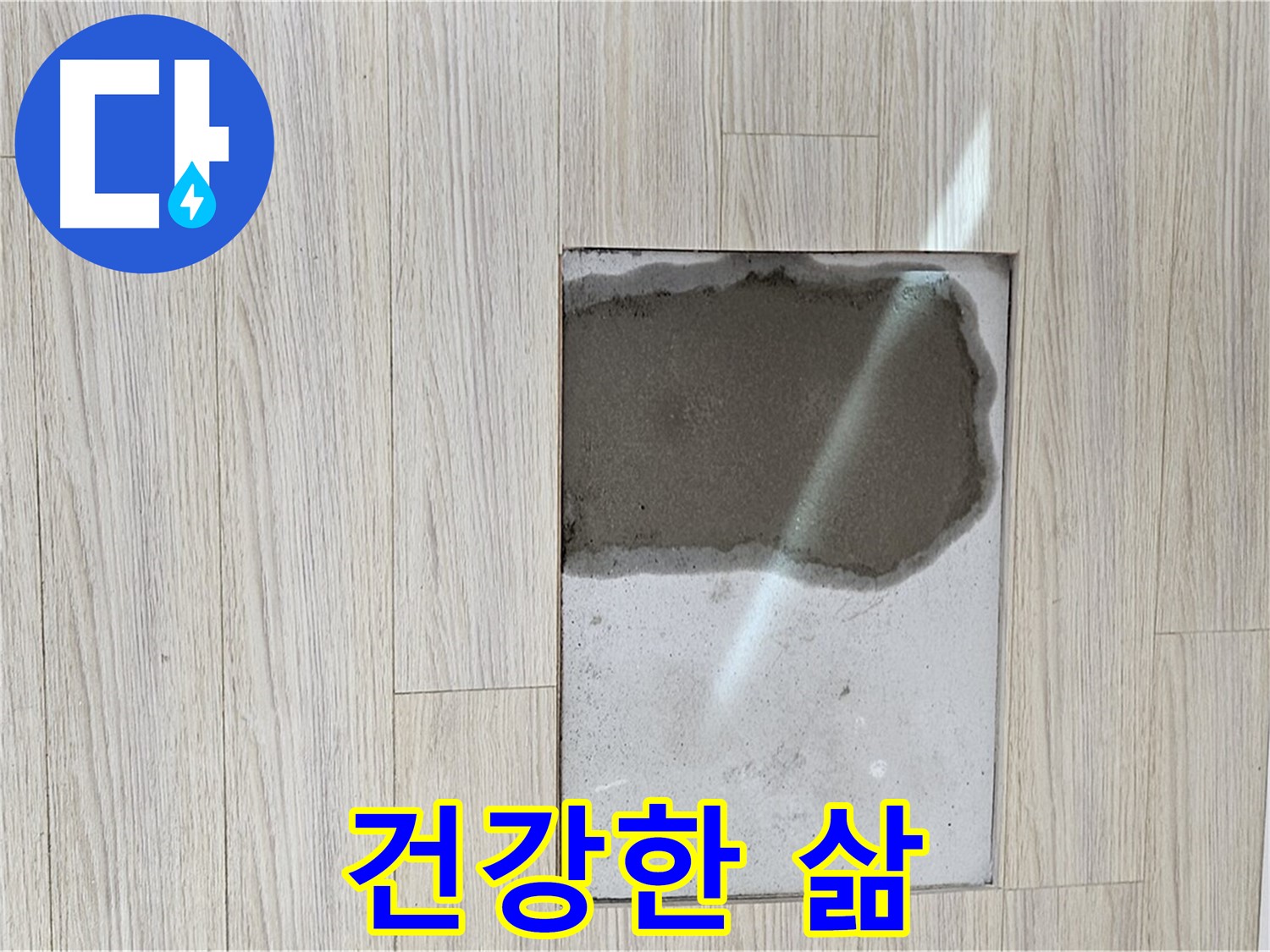 도봉구 현대시티 마루 곰팡이 - 쾌적한 공간, 건강한 삶