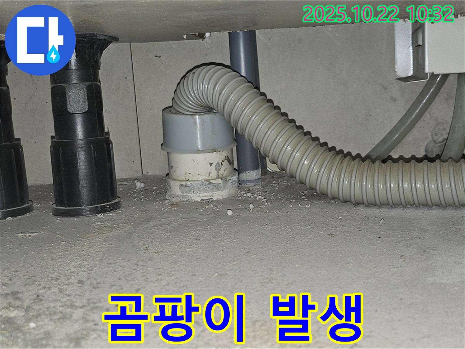 세탁기 하수구 배수구 주변에 곰팡이가 발생한 모습입니다 - 곰팡이는 습한 환경에서 잘 번식하며 누수의 징후일 수 있습니다 - 곰팡이 제거와 함께 누수 원인 제거가 필요합니다.