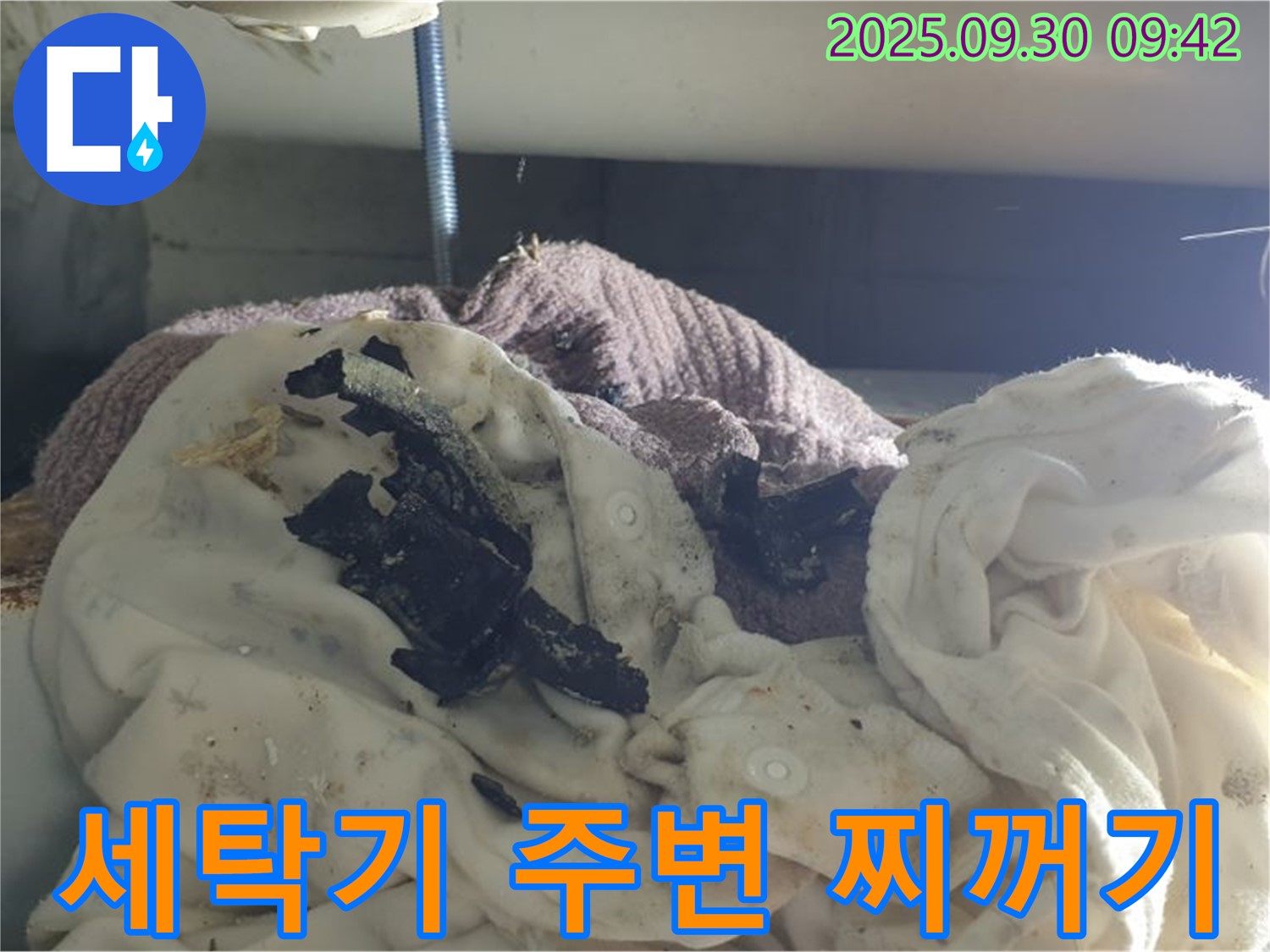 세탁기 주변 검은 찌꺼기 - 누수 연관성 확인 - 양주 누수 현장