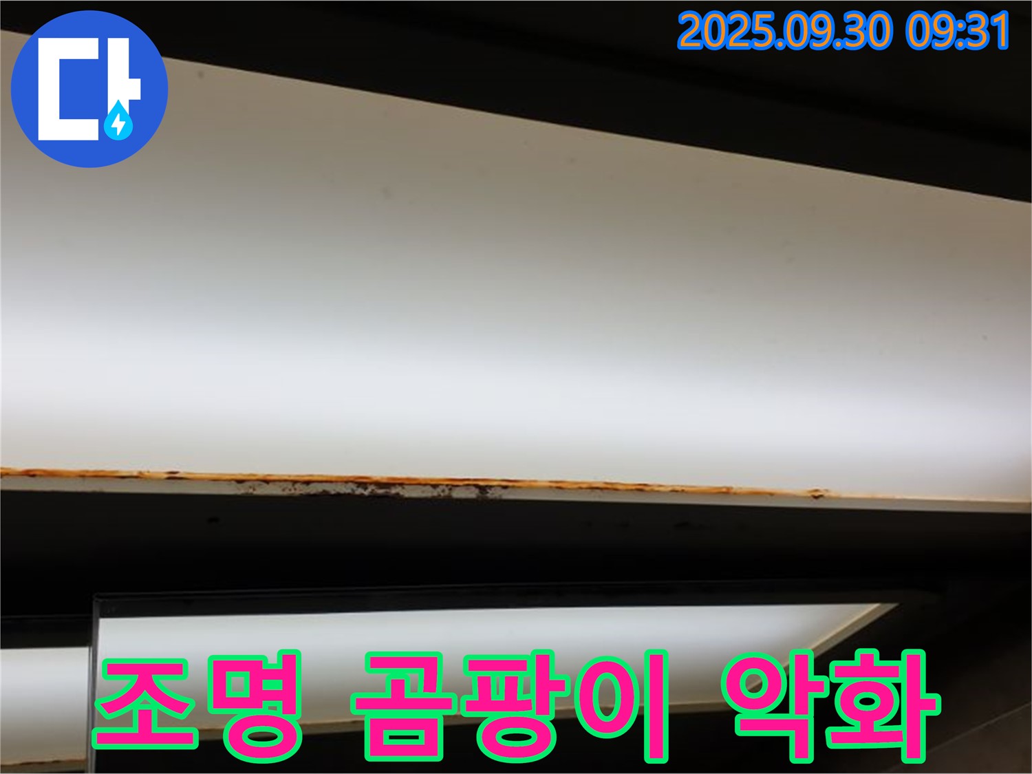 양주 광적면 석우리 누수 - 조명 주변 곰팡이! 건강 악화