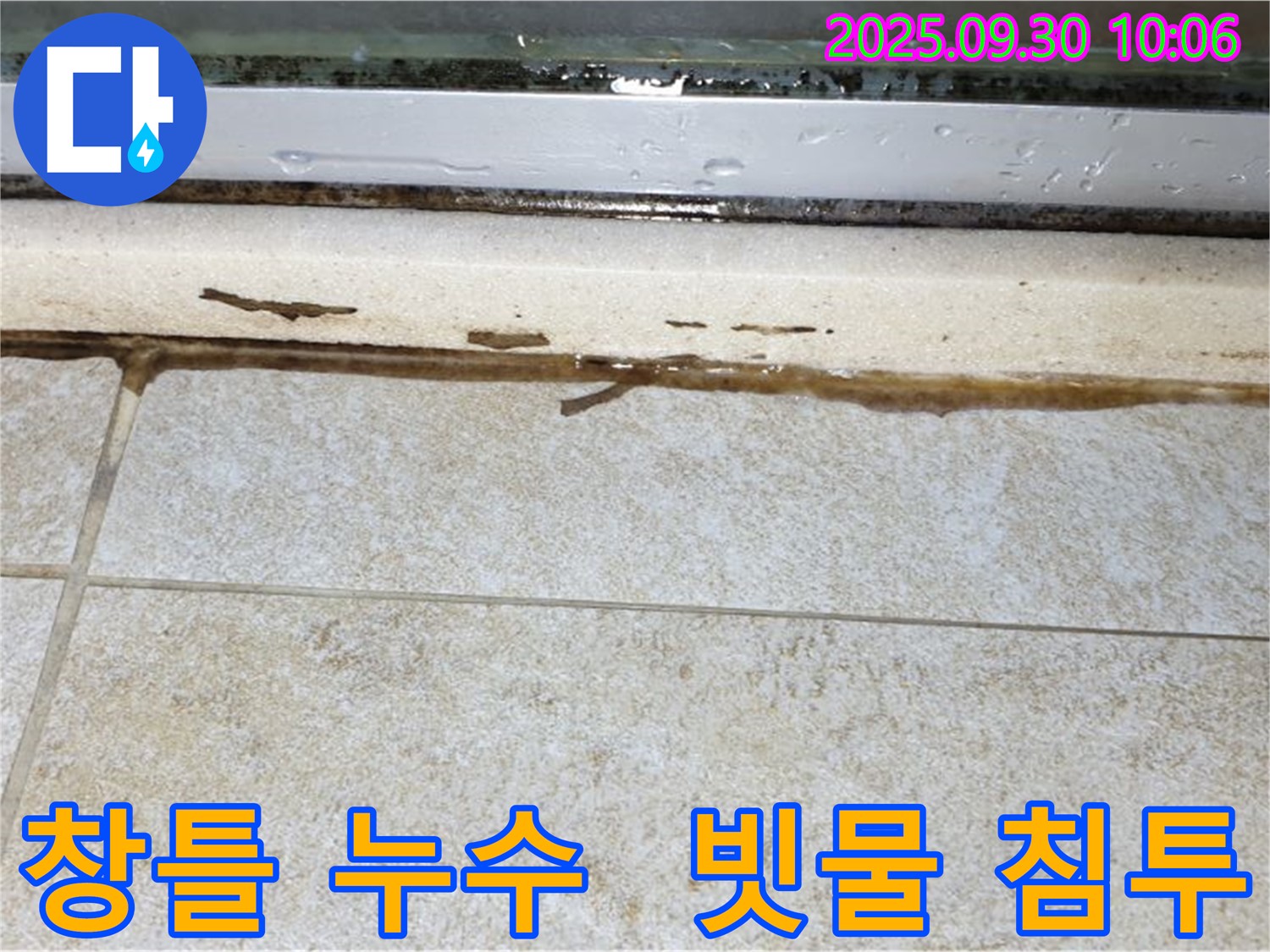 창틀 실리콘 손상으로 인한 빗물 누수 - 곰팡이 발생 위험 증가