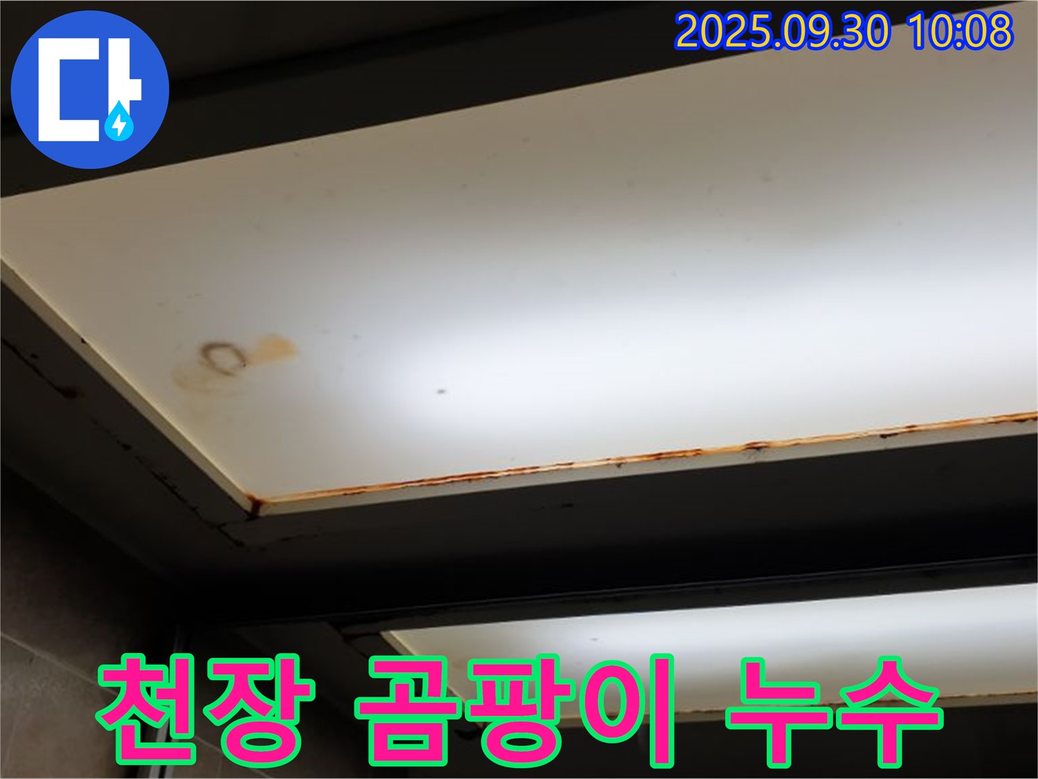 천장 곰팡이 누수 - 양주 광적면 석우리에서 누수탐지 전문가가 곰팡이가 핀 천장 누수 문제를 진단하고 있습니다.