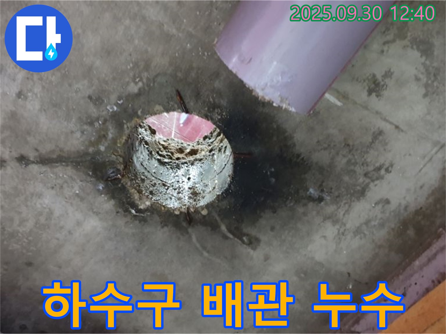 양주시 광적면 덕도리 하수구 배관 연결부 누수 - 문제 지점 상세 확인