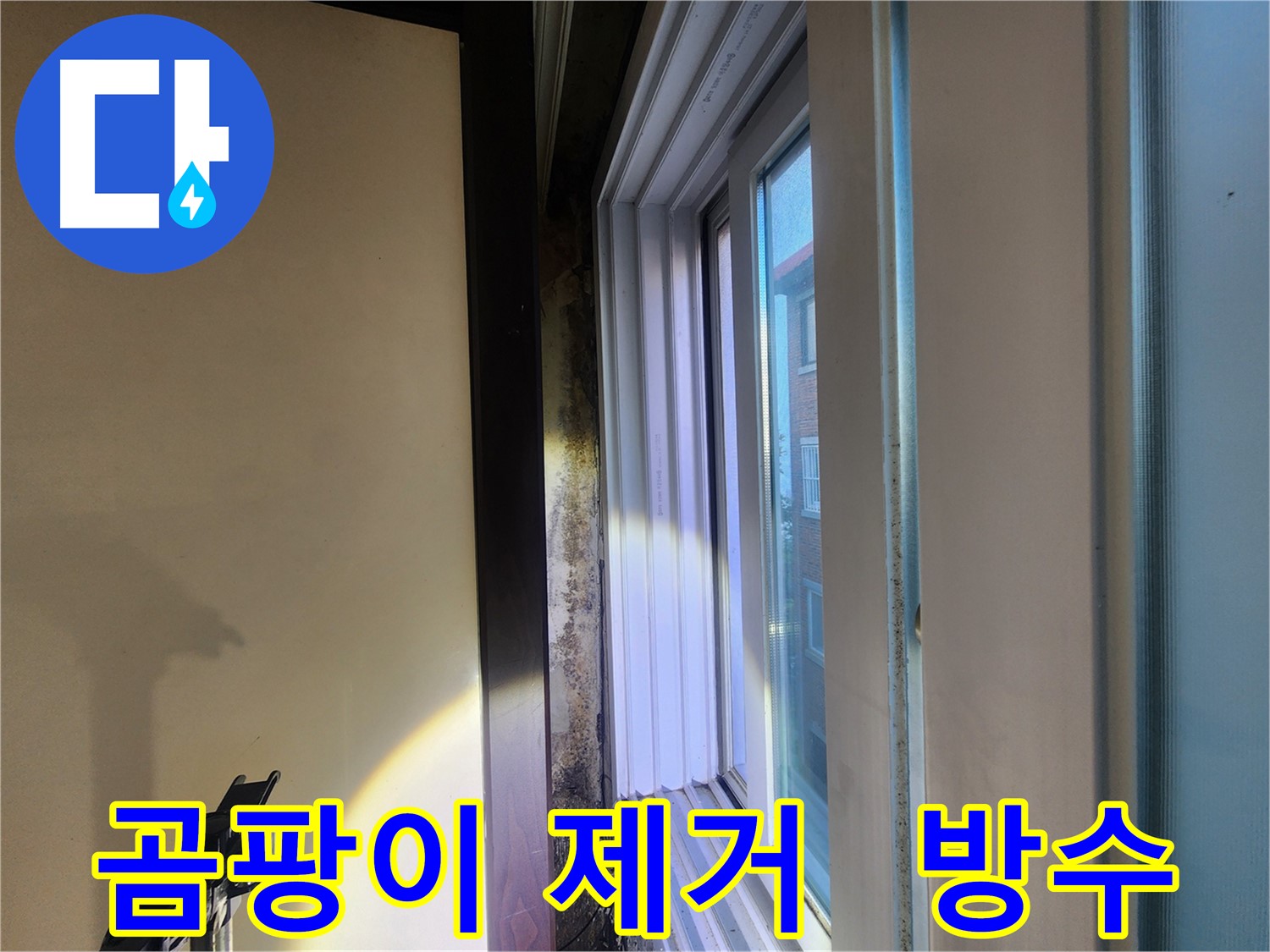 창틀 주변 곰팡이 제거 후 완벽 방수 시공 - 노원구 공릉동 누수 해결