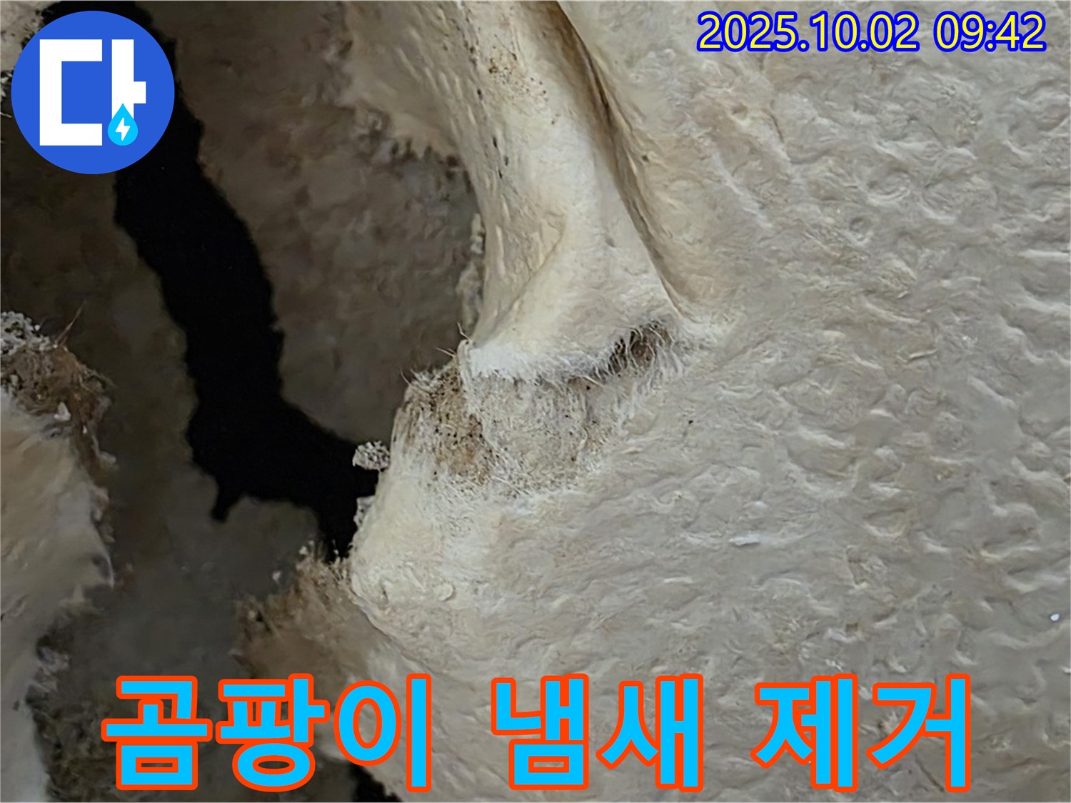 양주시 남면 신산리 주택 곰팡이 냄새 제거 - 곰팡이 냄새의 원인을 제거하고 탈취 서비스를 제공합니다.