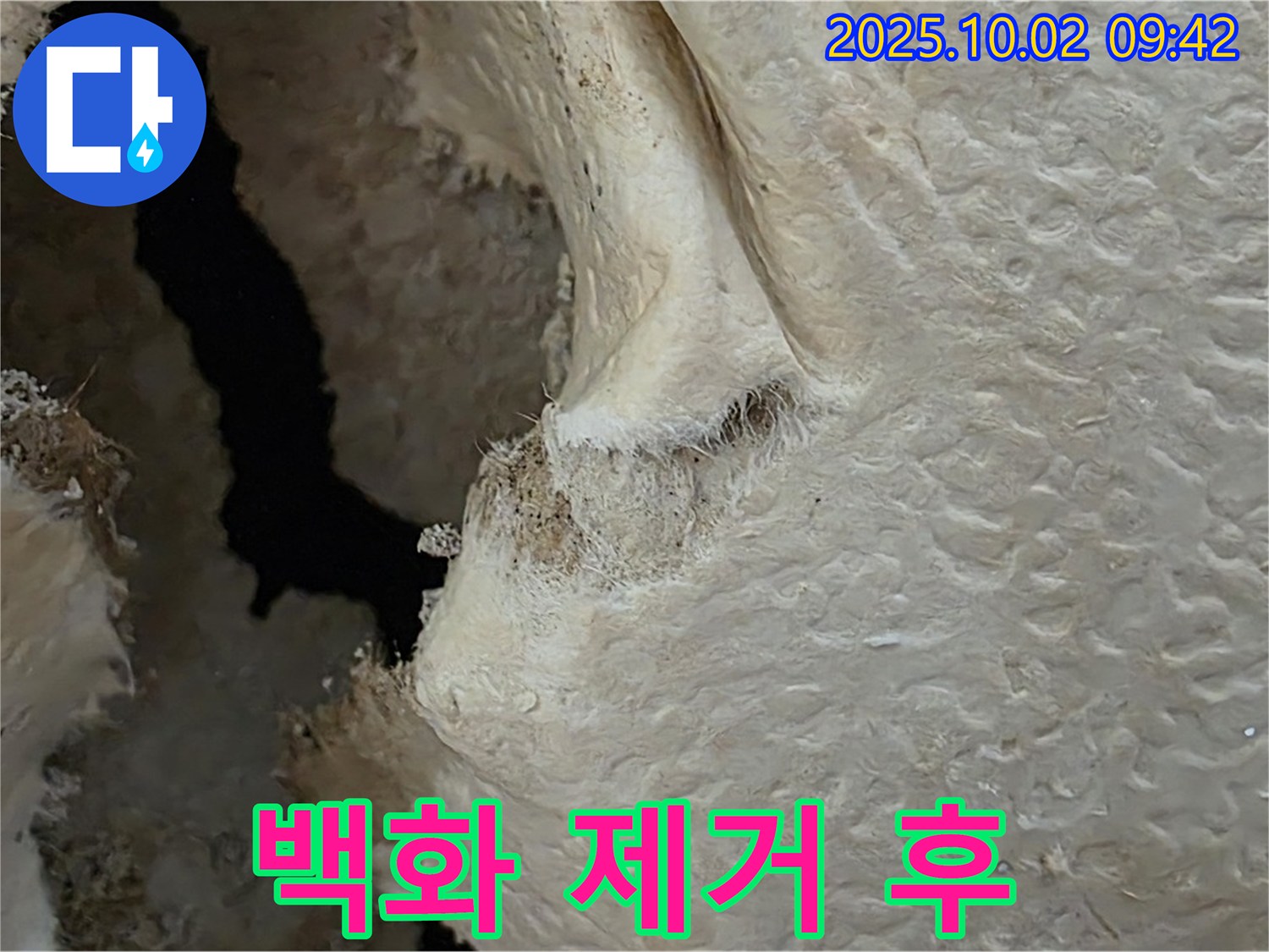양주시 남면 신산리 주택 백화현상 제거 후 - 깨끗하게 제거된 백화현상과 함께 누수 문제도 해결되었습니다.