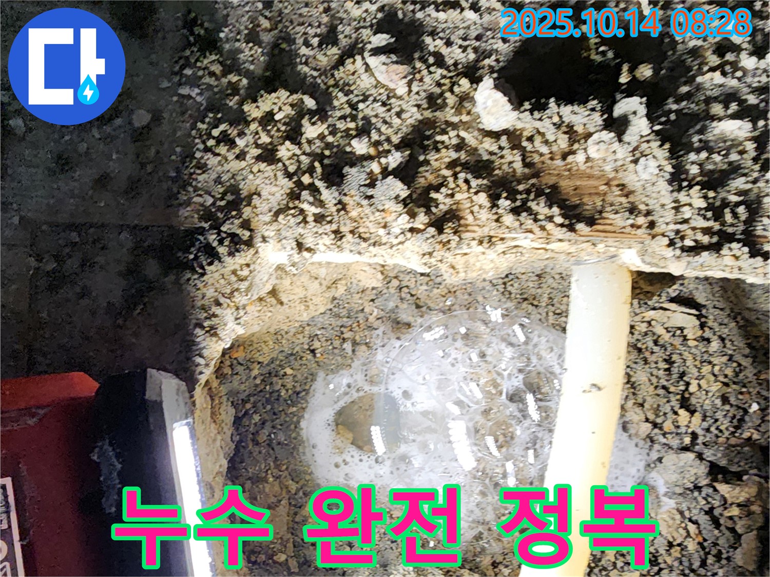 양주 두곡리 누수 현장에서 누수 완전 정복을 위해 노력하는 모습 - 누수와의 전쟁에서 승리하겠습니다.
