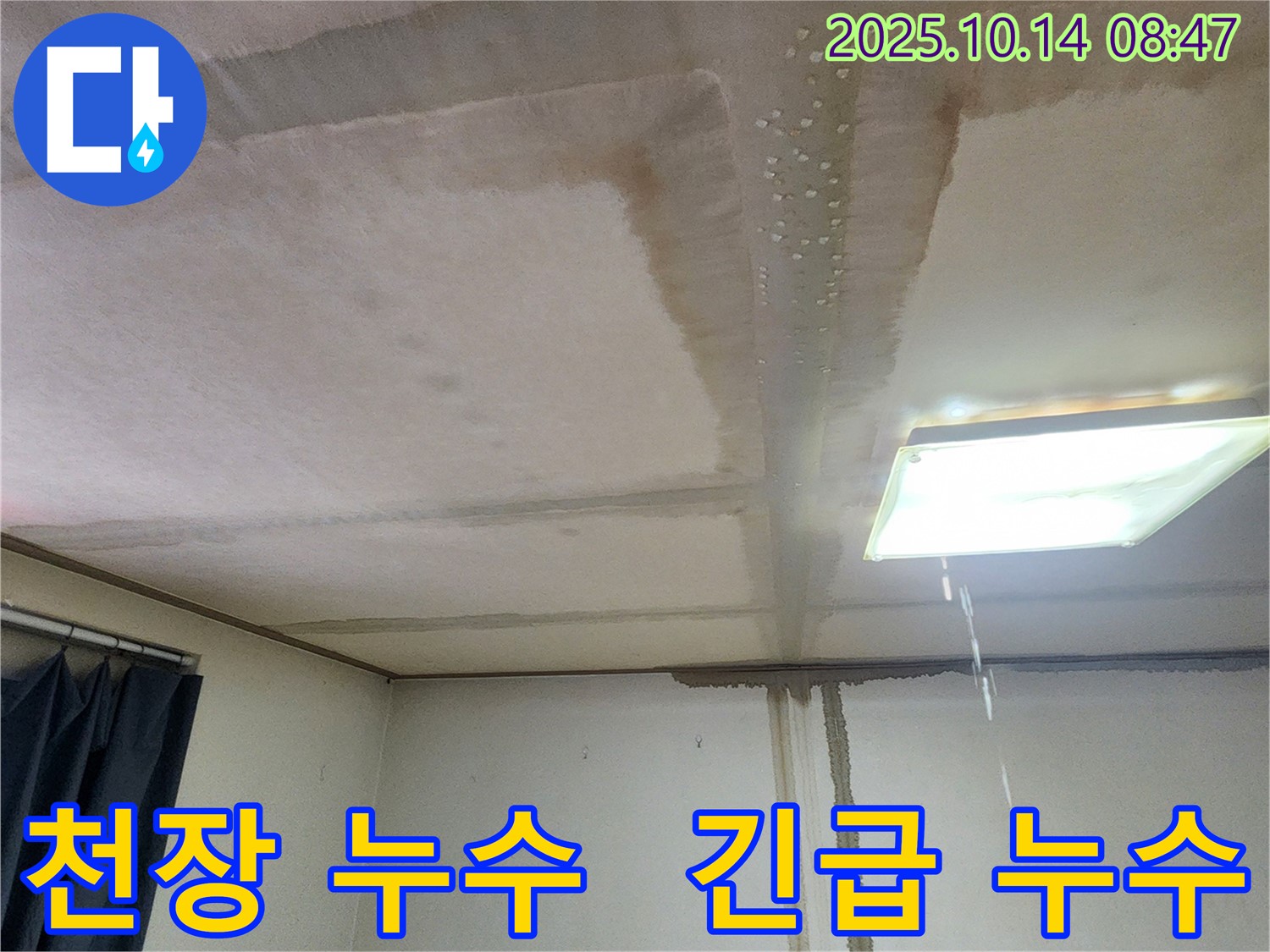 양주시 남면 두곡리 긴급 천장 누수 - 신속한 누수탐지 및 초기 대응
