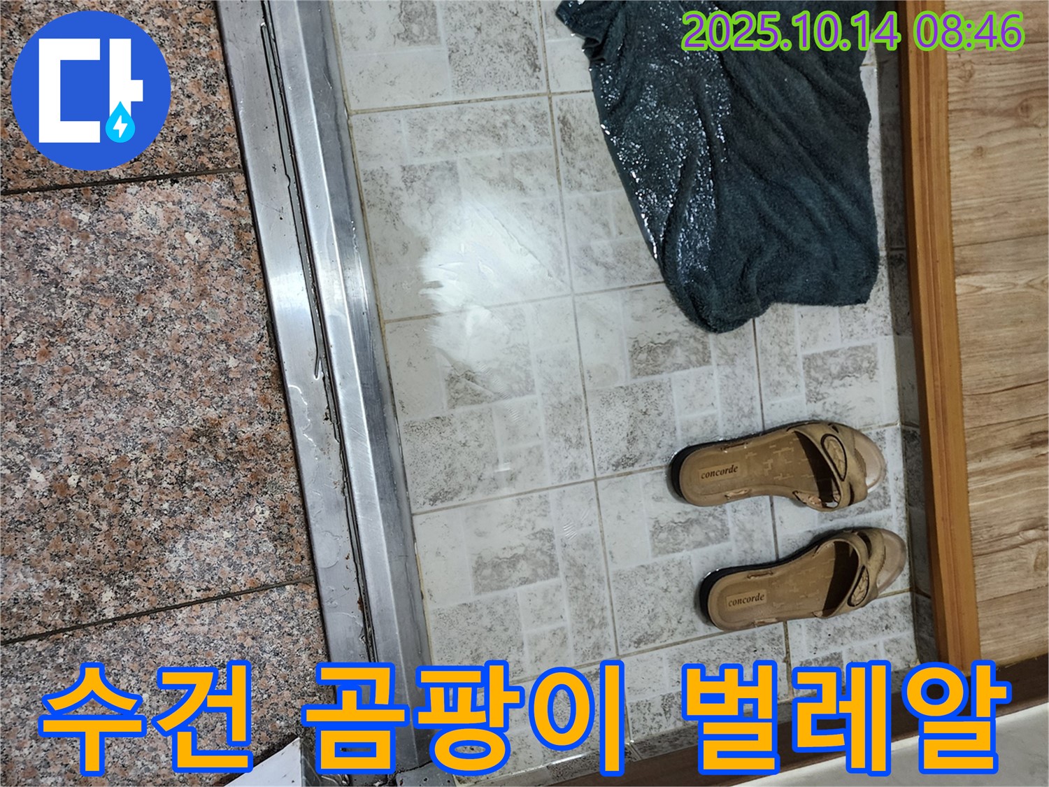 양주시 남면 두곡리 누수 - 현관 앞 젖은 수건에 곰팡이와 함께 벌레 알까지 발견된다면 최악의 누수 상황입니다.