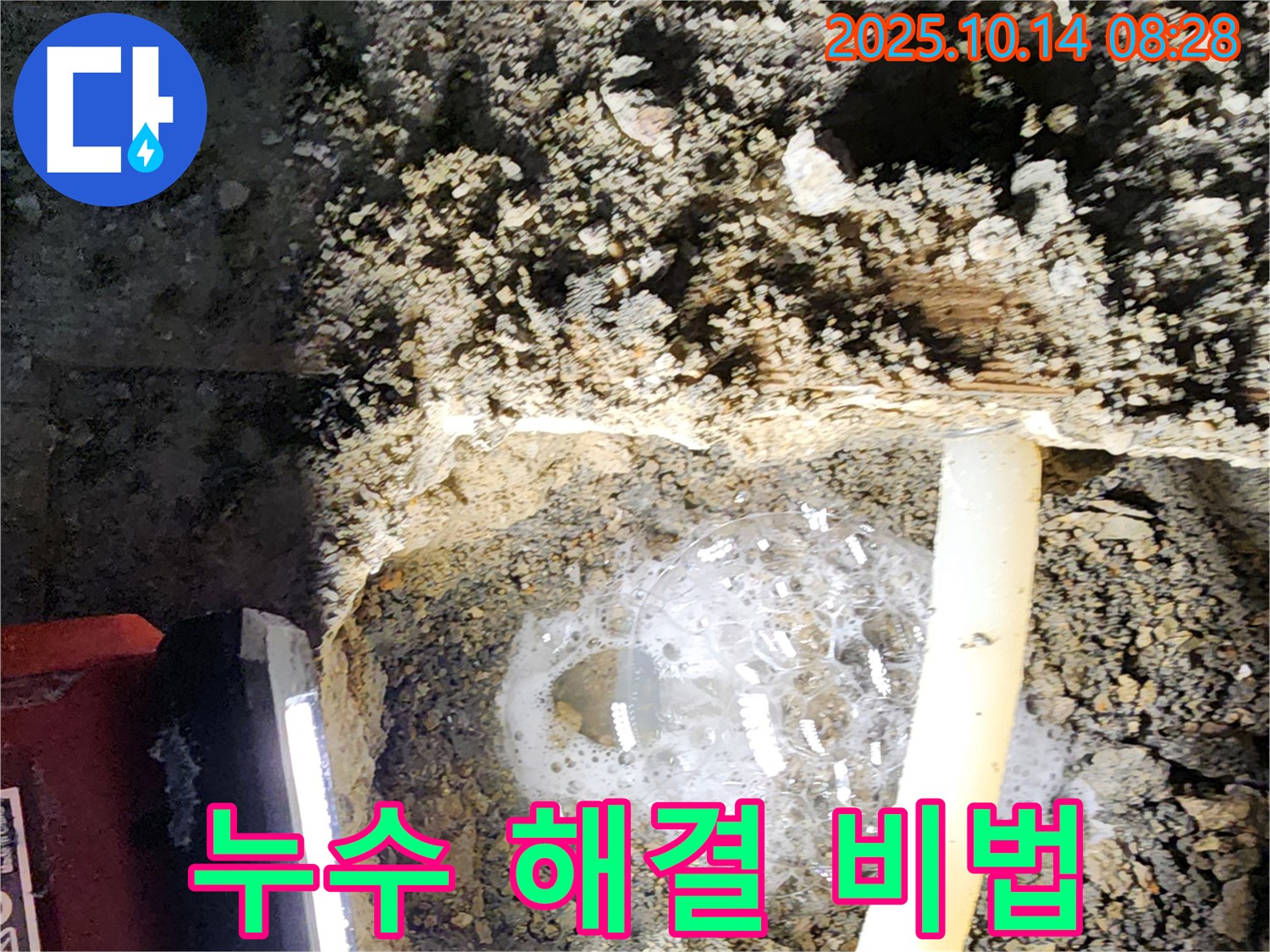 양주시 남면 두곡리 누수 현장에서 누수 해결 비법을 보여주는 모습 - 누수 탐지부터 시공까지 완벽하게 해결합니다.