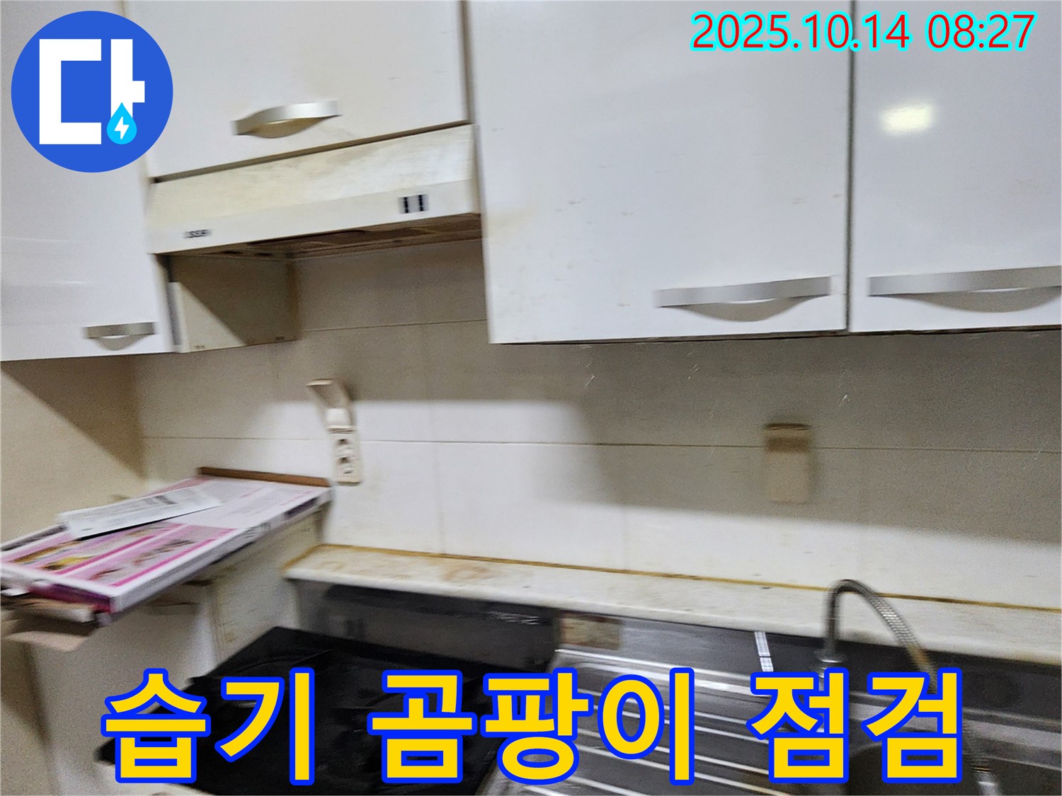 양주시 남면 두곡리 싱크대 주변 습기와 곰팡이 - 누수 초기 증상 여부를 꼼꼼하게 점검합니다.