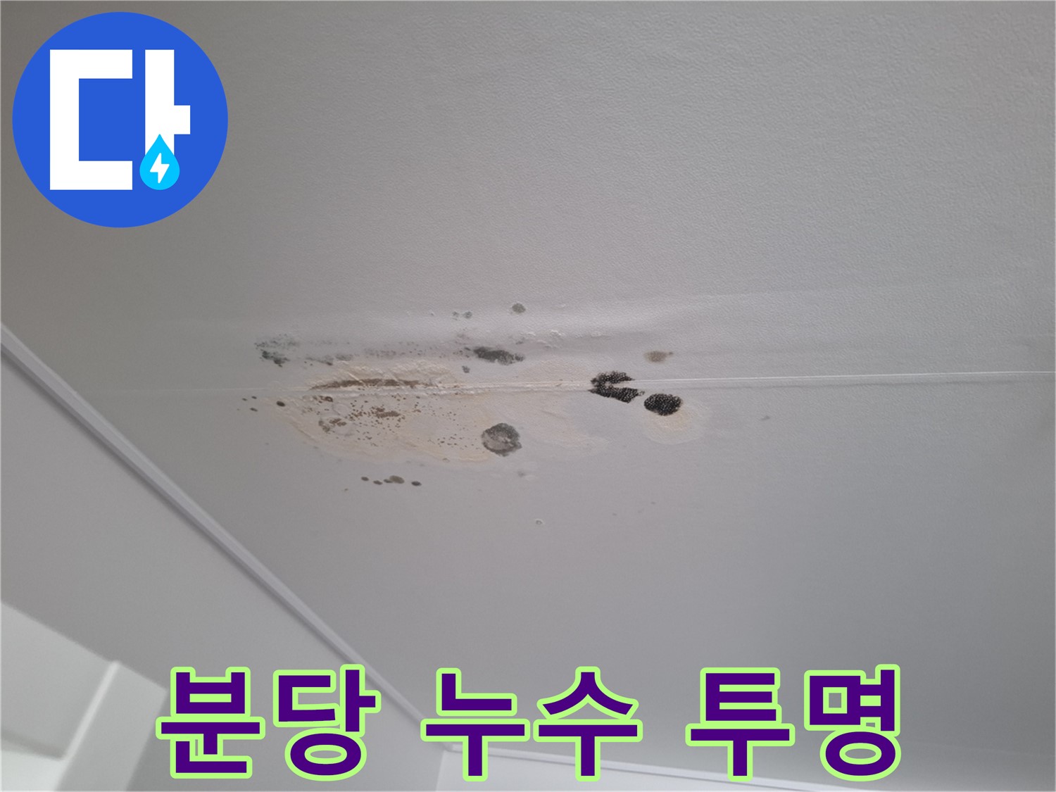 누수 해결 - 합리적 견적, 투명한 시공 약속!
