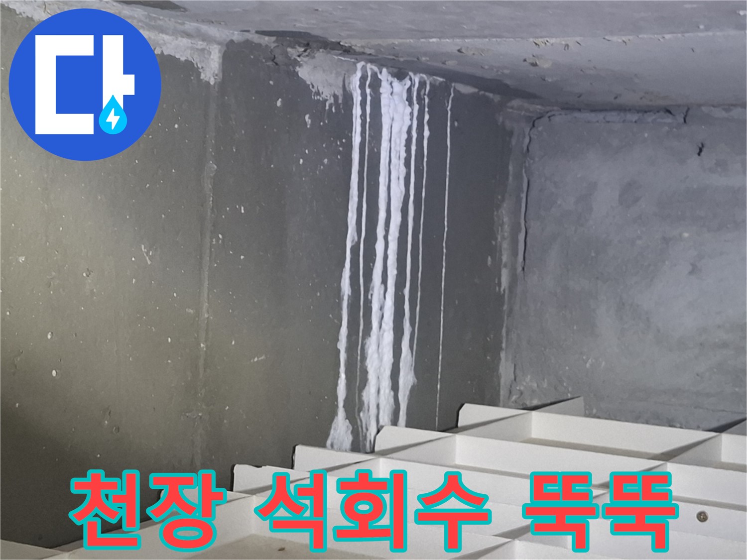 봇들마을2단지 아파트 누수 - 천장에서 석회수가 뚝뚝 떨어지는 모습