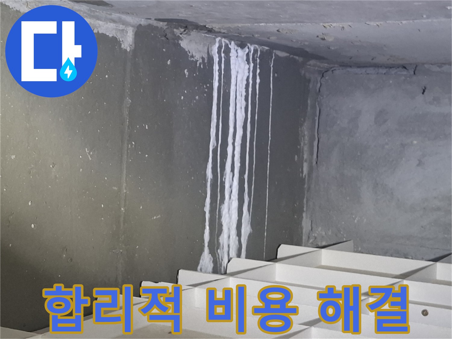 봇들마을2단지 아파트 - 지하 누수, 합리적인 비용으로 해결!