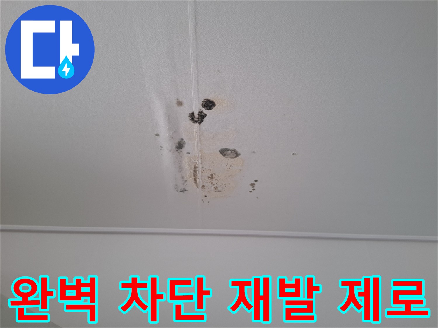 분당 봇들마을 2단지 아파트 - 누수를 완벽하게 차단하고 누수 재발 제로를 약속드립니다 - 안심하세요.