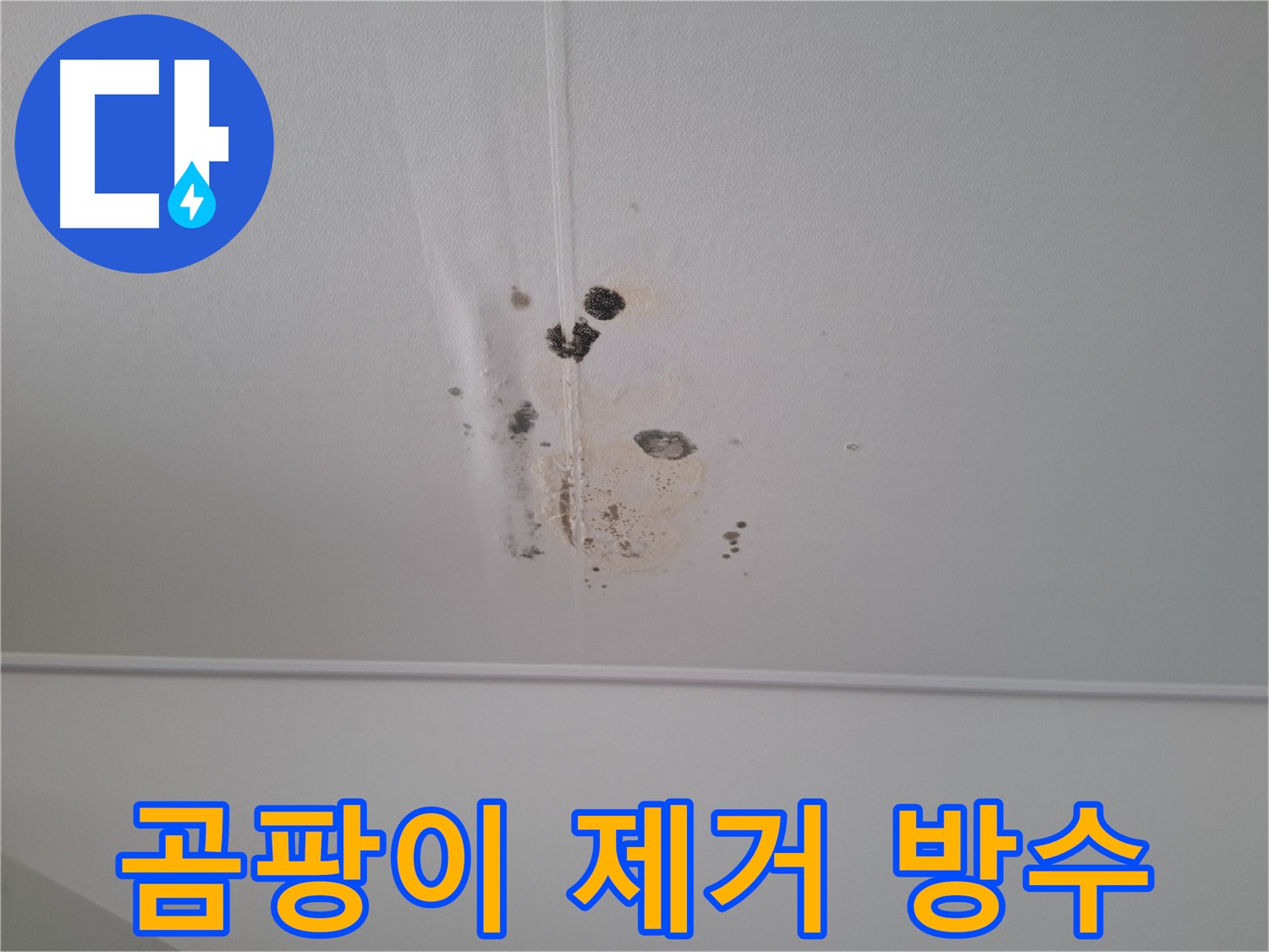 분당 봇들마을 봇들마을2단지 아파트 - 곰팡이 제거 후 완벽한 방수 시공으로 재발 방지.