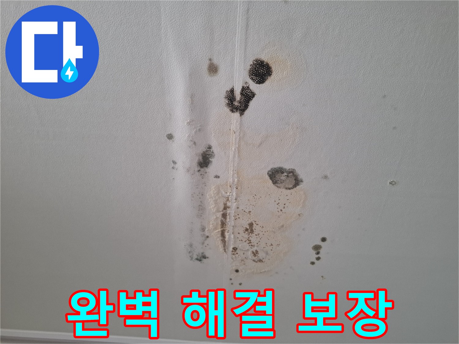 분당 봇들마을 아파트 누수 - 206동 누수 문제, 완벽하게 해결 보장!