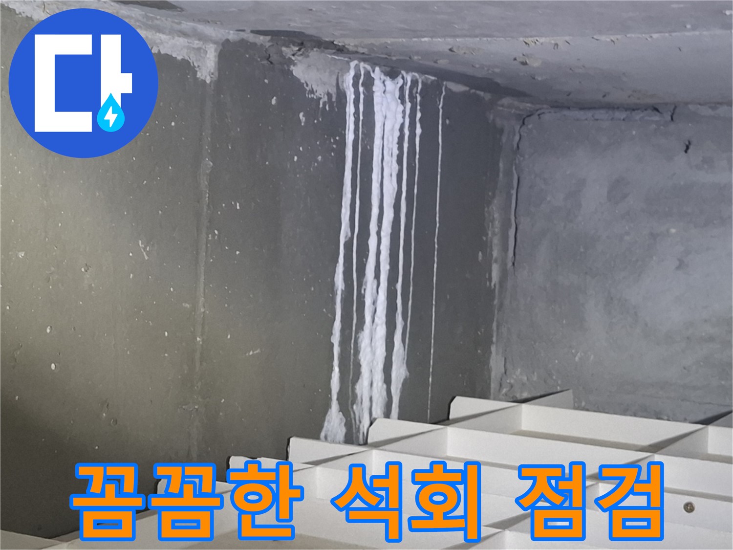 분당 봇들마을 아파트 - 석회 누수, 꼼꼼한 원인 분석으로 문제 해결