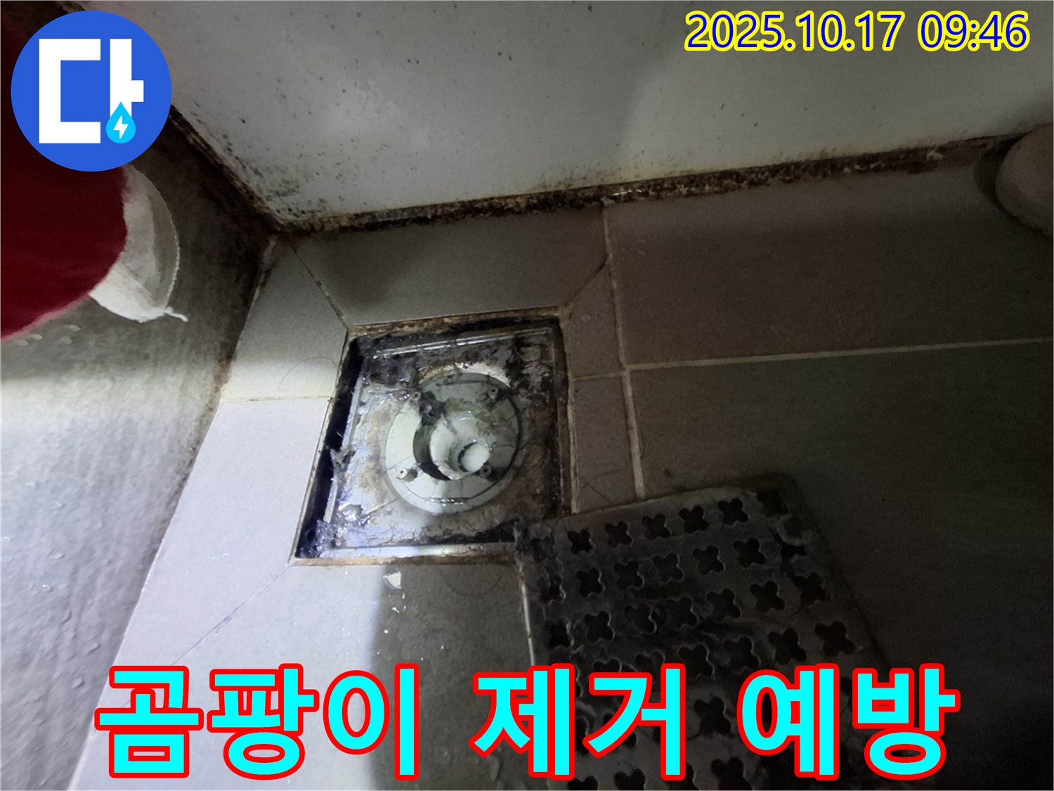 분당 봇들마을 아파트 - 욕실 배수구 곰팡이 제거 - 누수 사전 진단 - 맞춤 예방 솔루션 제공 - 쾌적한 욕실 환경을 위한 최고의 선택.