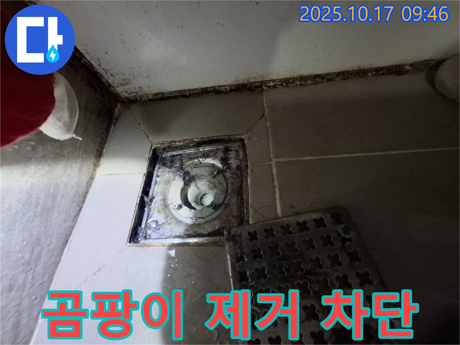 분당 봇들마을 아파트 - 욕실 배수구 곰팡이 제거 - 누수 원천 차단 - 전문 기술로 안심하고 사용하세요.