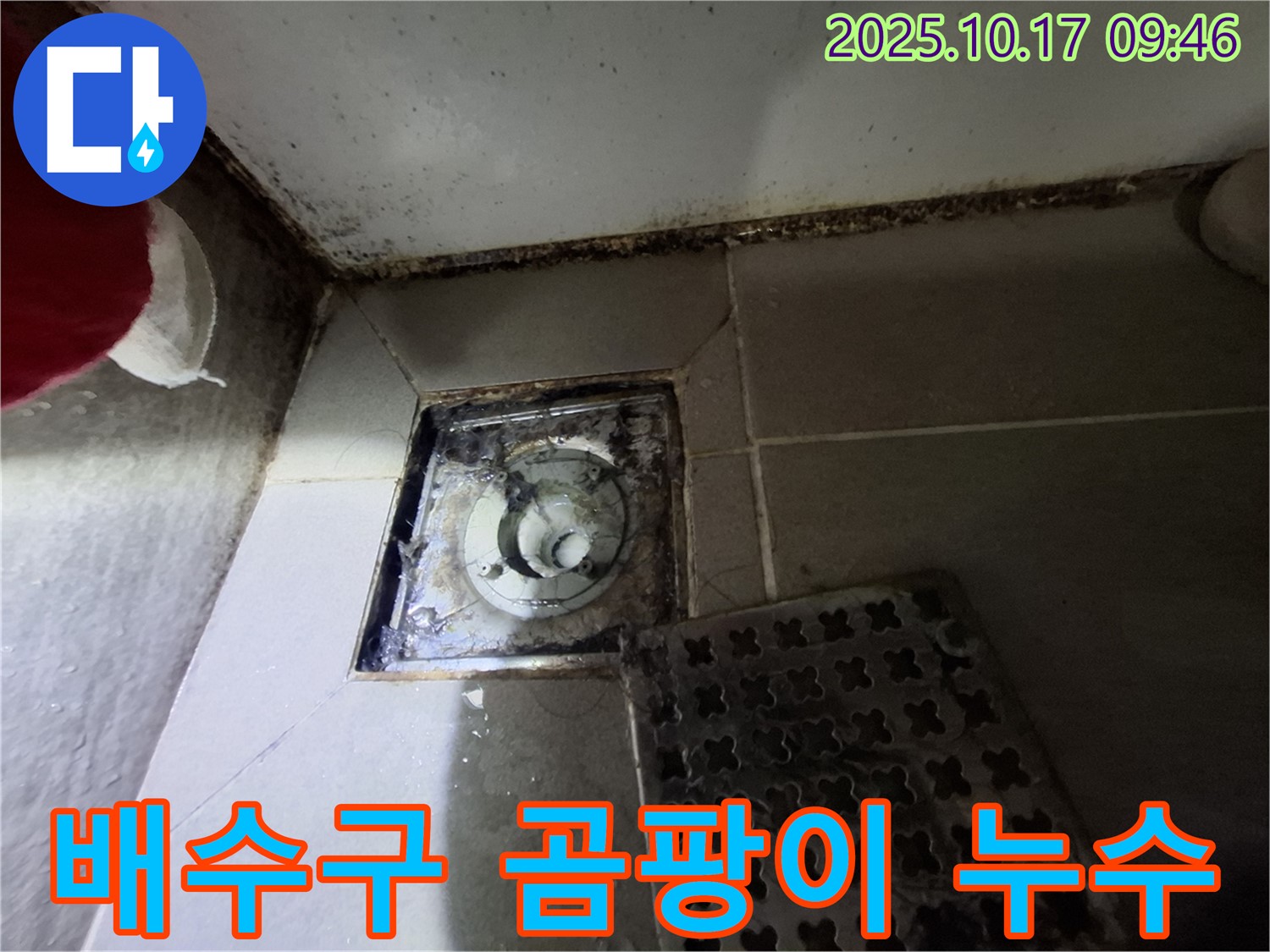 분당 봇들마을 아파트 욕실 배수구 곰팡이 제거 및 누수 방지 - 곰팡이를 깨끗하게 제거하고 누수까지 완벽하게 차단합니다.