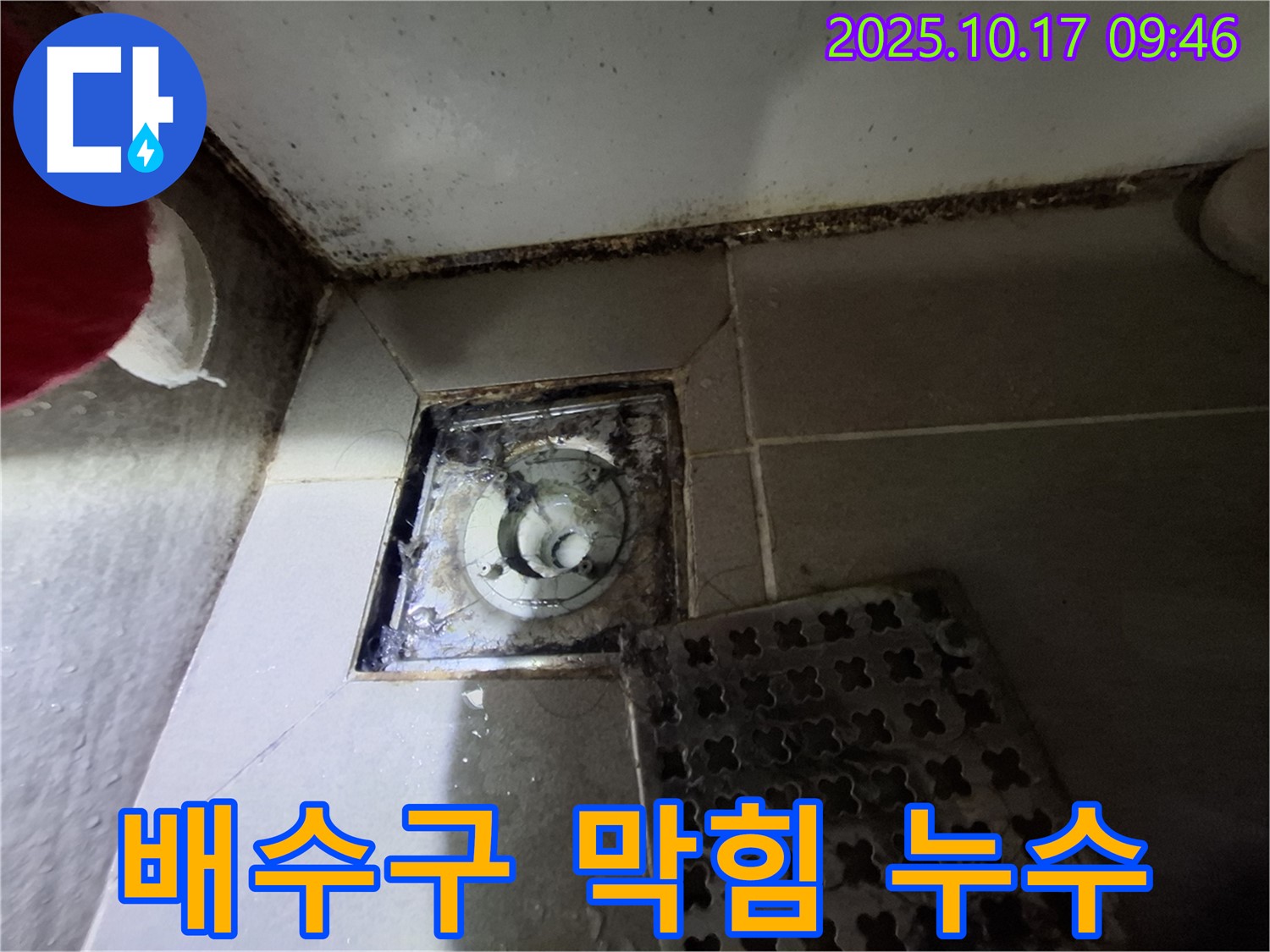 분당 봇들마을 아파트 욕실 배수구 막힘 및 누수 동시 해결 - 막힌 배수구를 뚫고 누수까지 완벽하게 해결합니다.