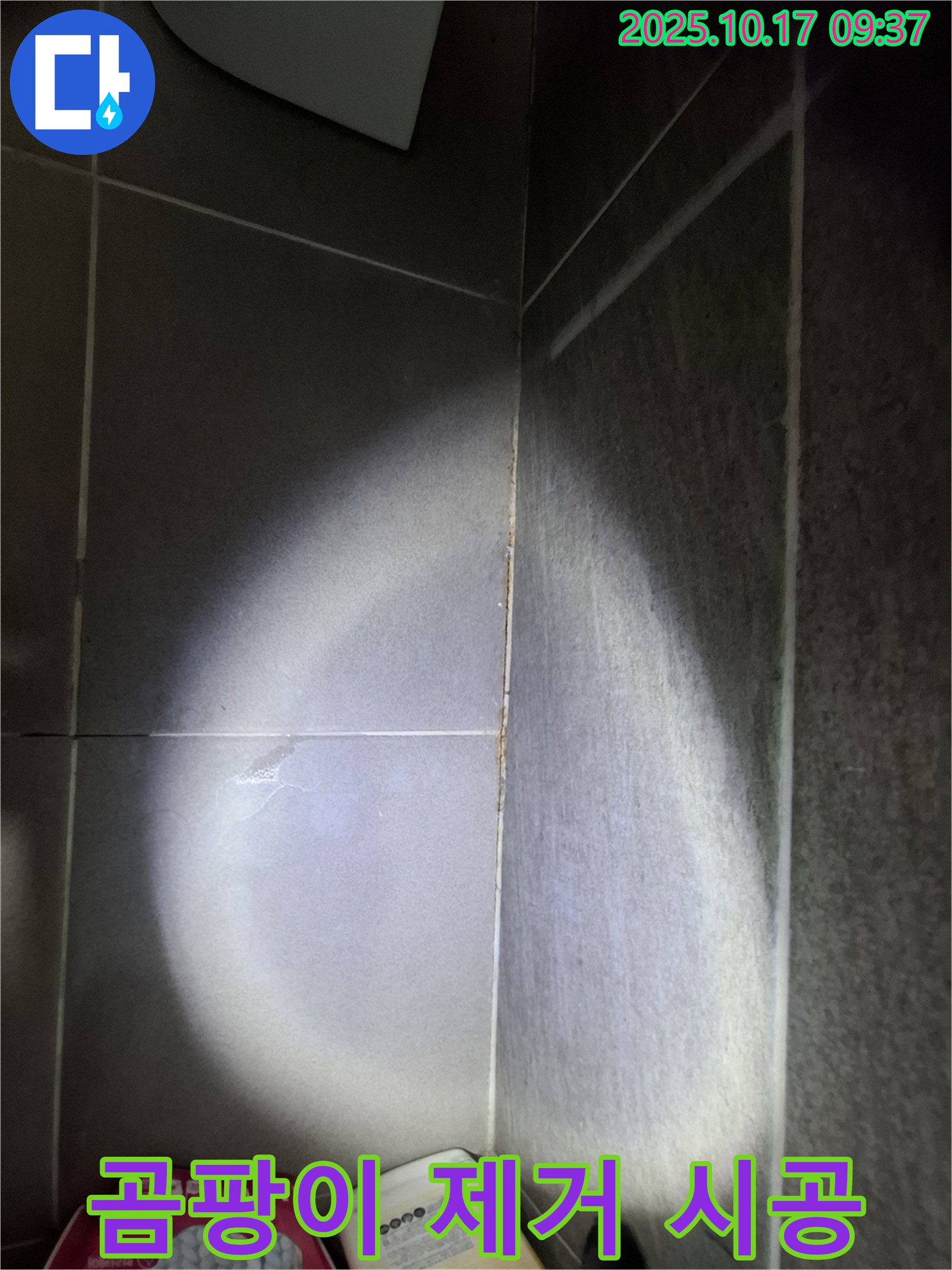 분당 봇들마을 아파트 욕실 타일 곰팡이 누수 - 곰팡이 제거 후 실리콘 재시공으로 해결!