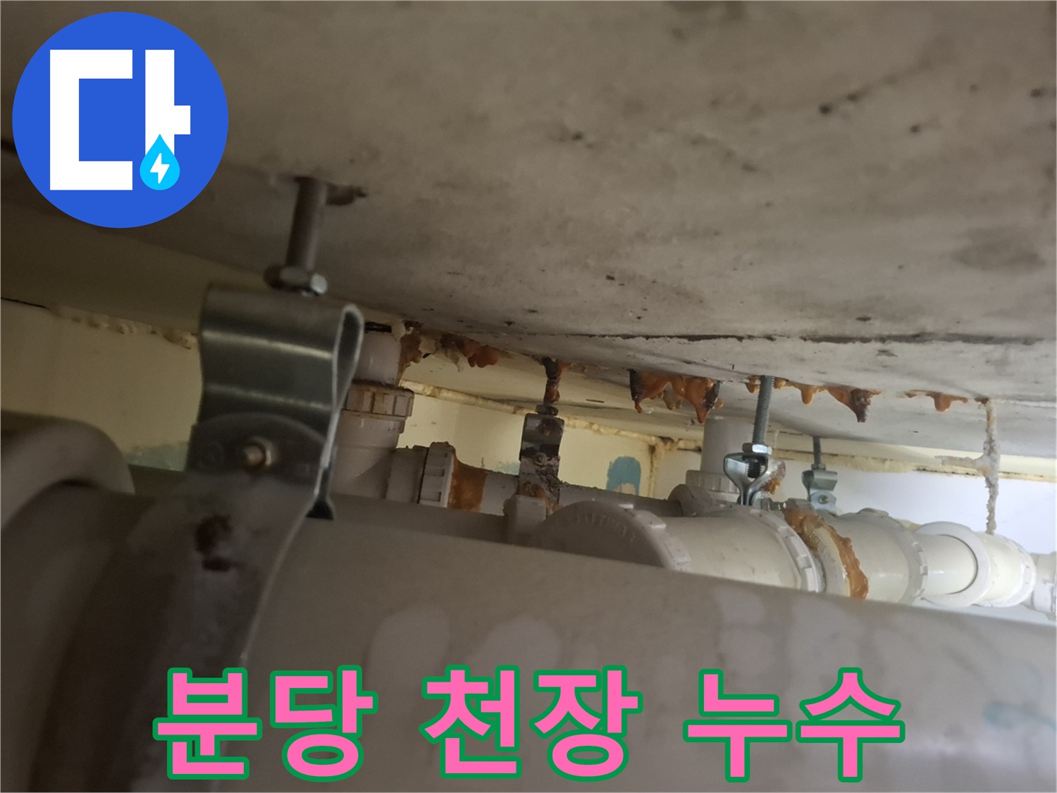 분당 봇들마을 아파트 - 천장 배관 연결 부위, 누수 진행 중, 긴급 조치 필요