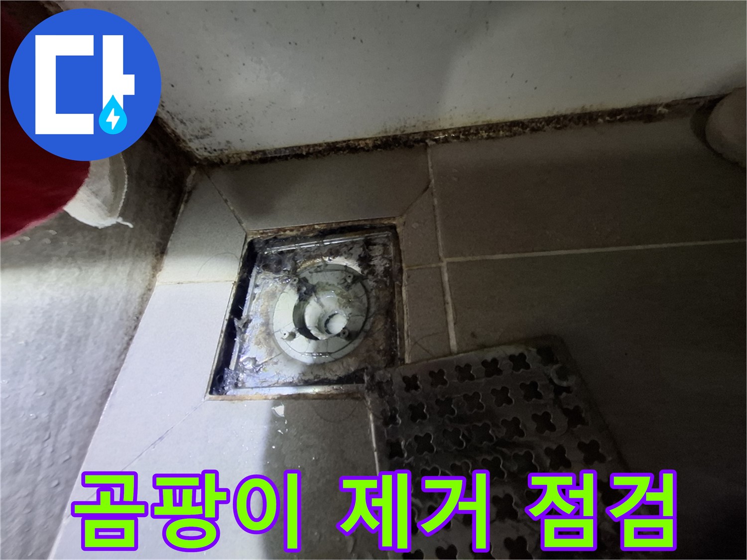 분당 봇들마을 욕실 - 곰팡이 제거 및 누수 점검 서비스 제공