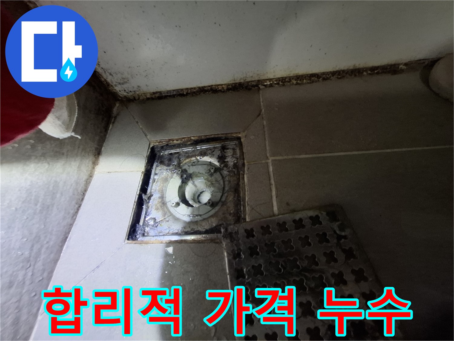 분당 봇들마을 욕실 배수구 누수 - 합리적인 가격으로 누수 해결