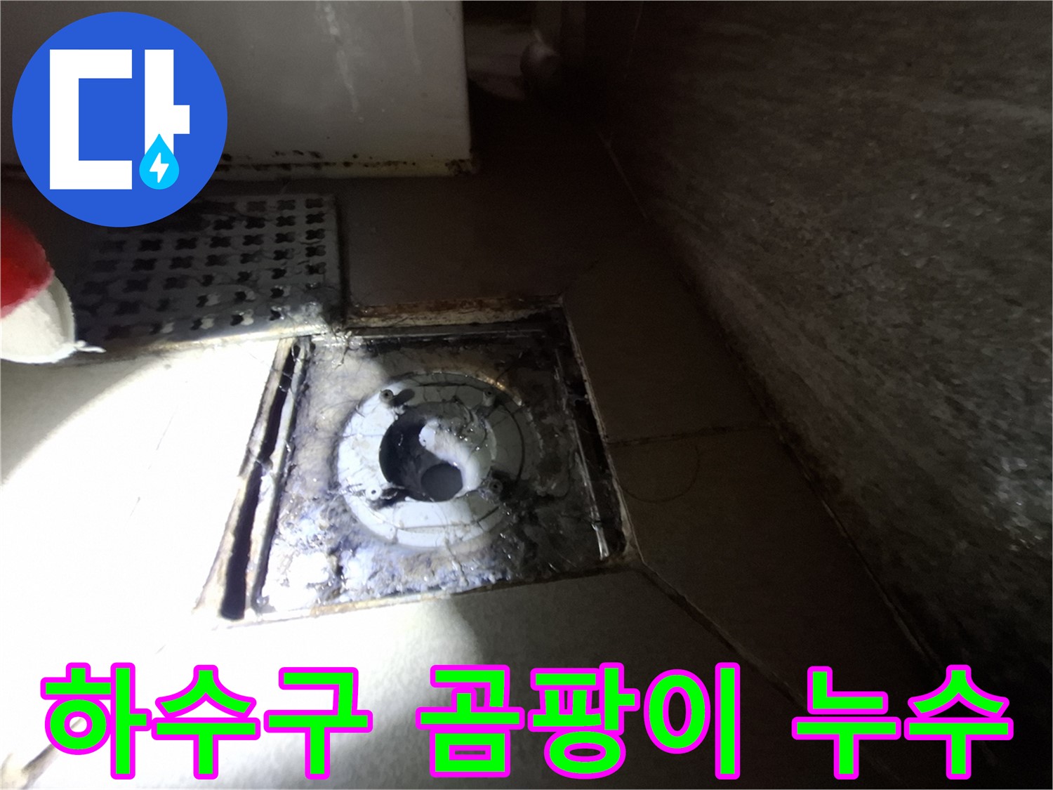 분당 봇들마을 욕실 하수구 주변 곰팡이 - 곰팡이 제거하고 누수까지 해결