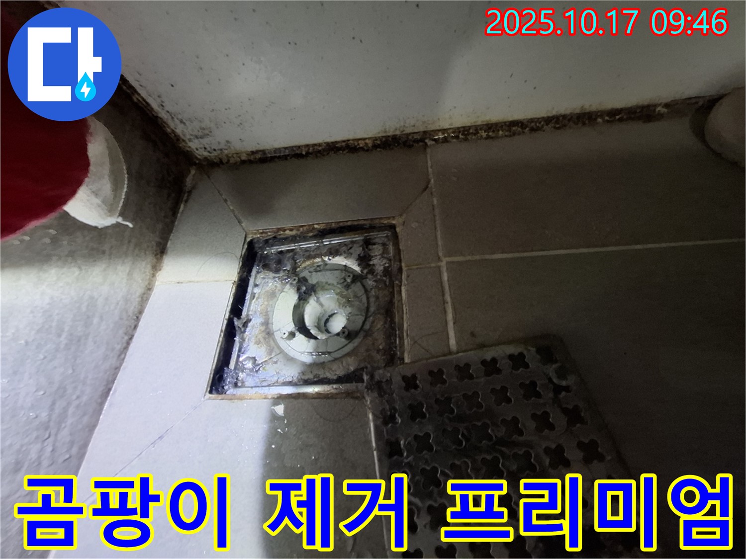 분당 봇들마을2단지 아파트 욕실 배수구 곰팡이 제거 - 누수 완벽 차단 프리미엄 시공 - 쾌적한 욕실 환경을 만들어 드립니다.