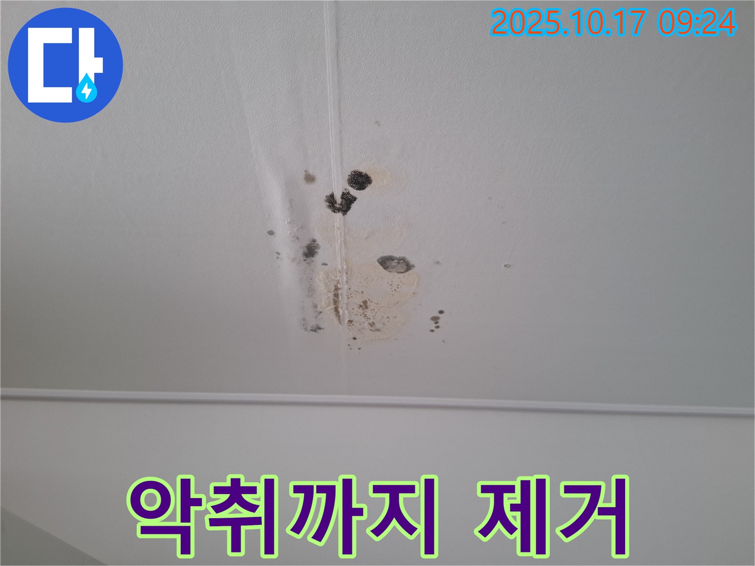 분당 봇들마을2단지 아파트 천장 누수 - 곰팡이 악취까지 말끔하게 제거