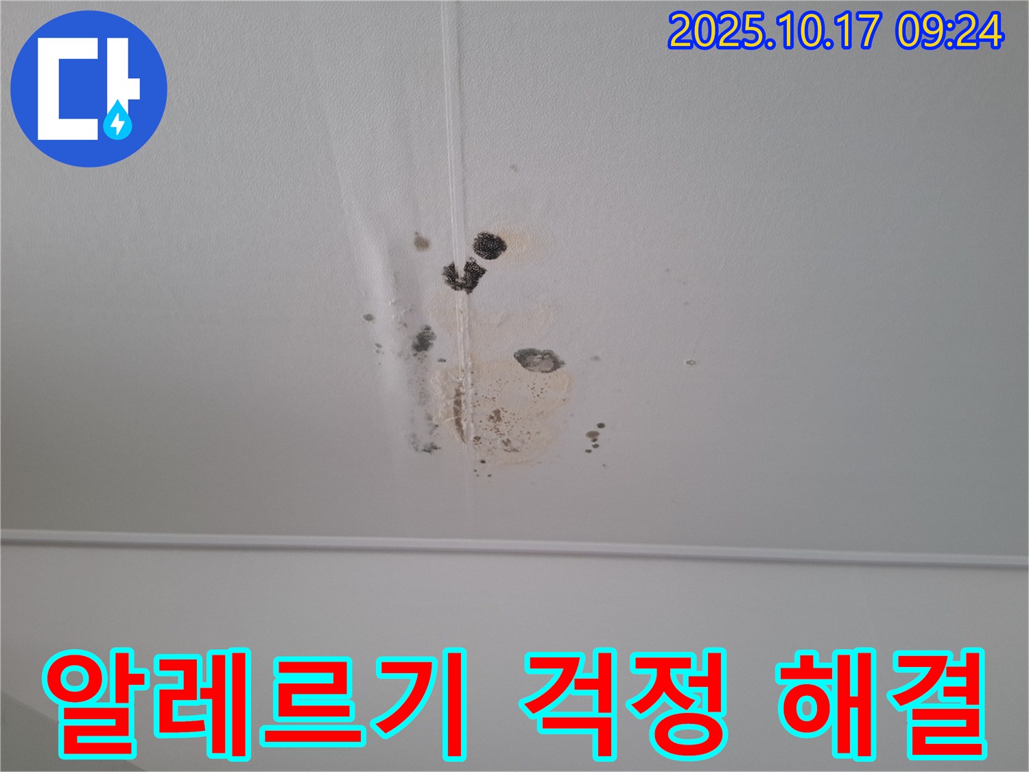 분당 봇들마을2단지 아파트 천장 누수 - 곰팡이 알레르기 걱정 없는 쾌적한 공간