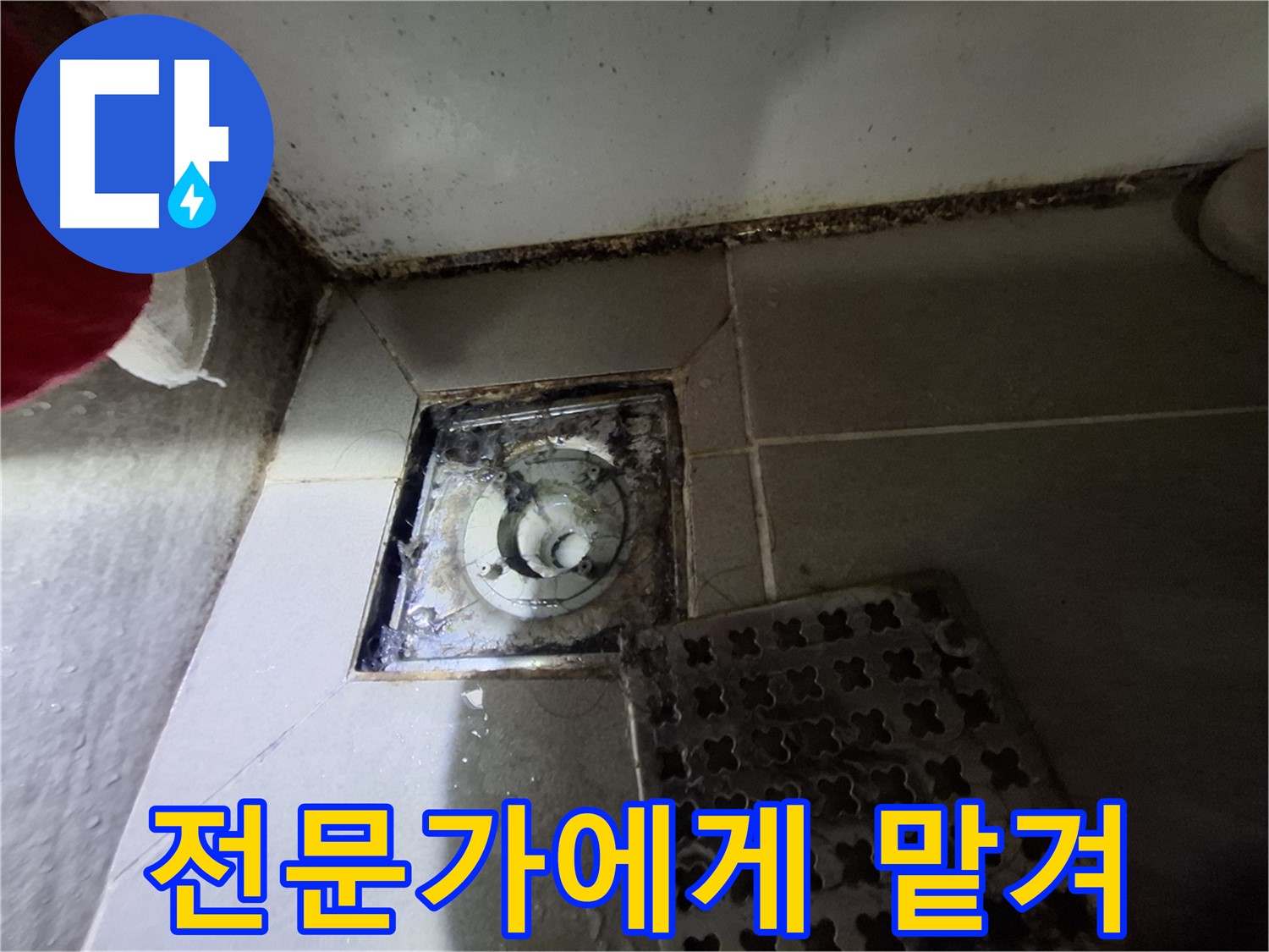 분당 봇들마을2단지 욕실 - 곰팡이는 초기 누수 신호 - 전문가에게 맡기세요