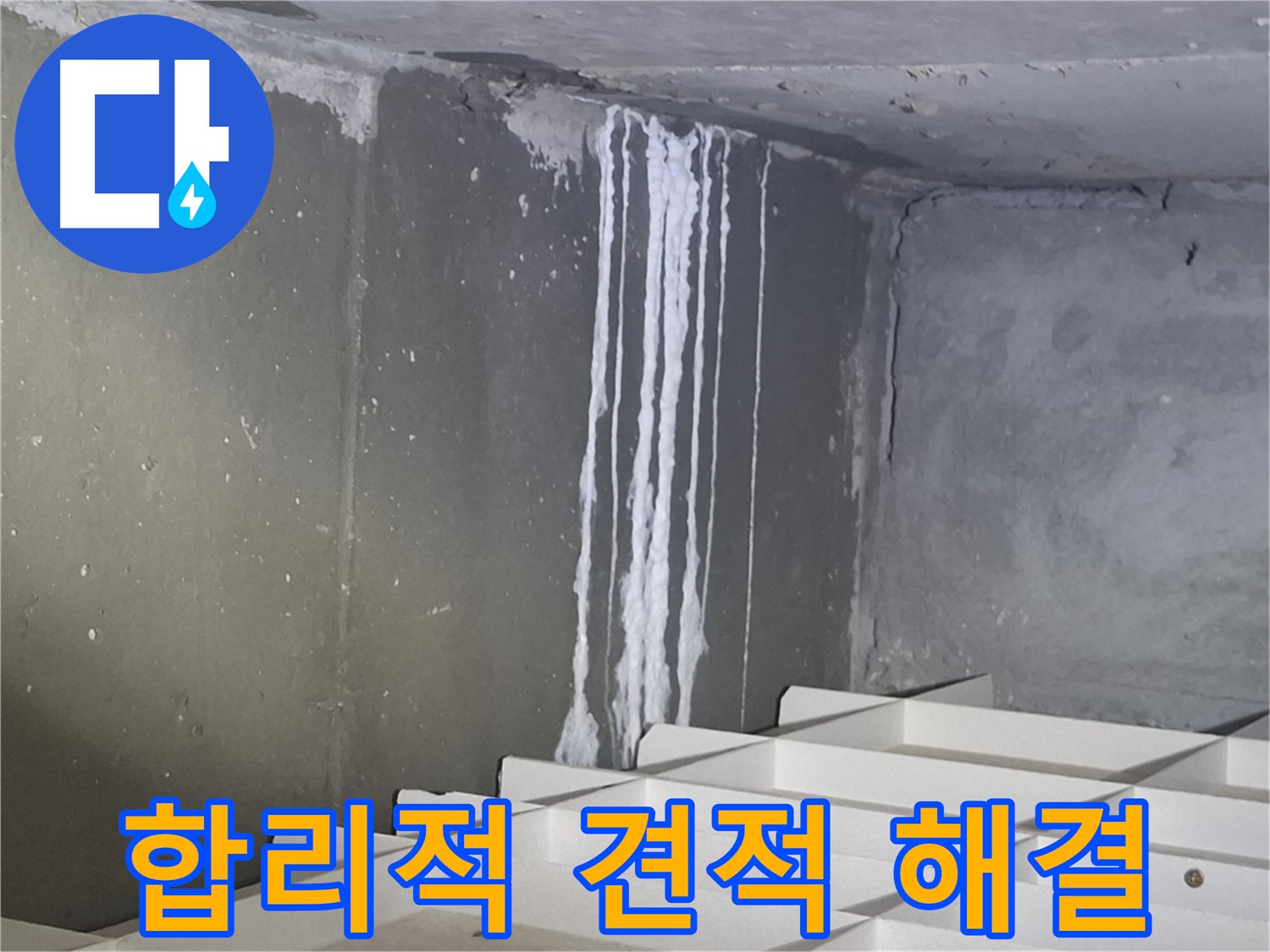 분당 삼평동 봇들마을 아파트 누수 - 주차장 누수, 합리적인 견적으로 해결