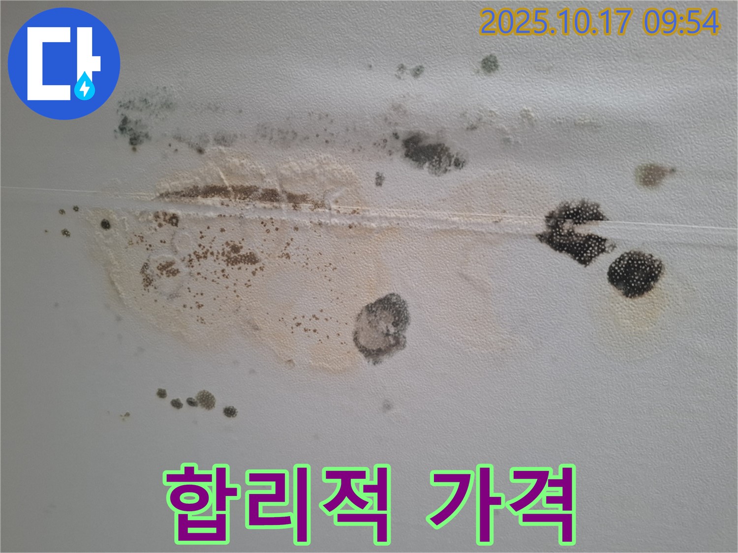 분당 삼평동 봇들마을 아파트 천장 누수 견적 - 곰팡이 문제 해결을 위한 합리적인 가격 제시