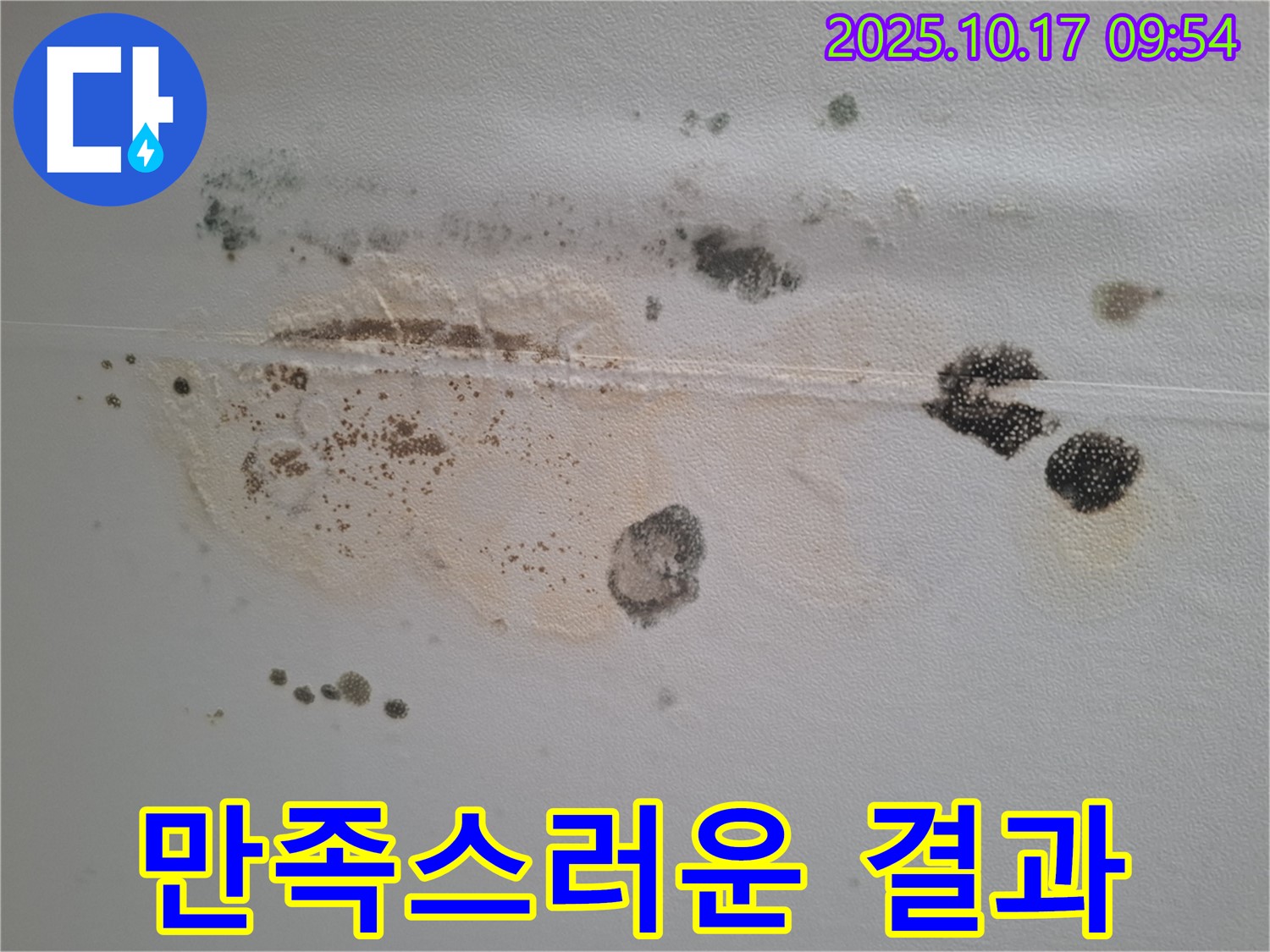 분당 삼평동 봇들마을 아파트 천장 누수 후기 - 고객님의 만족스러운 결과 인증 사진