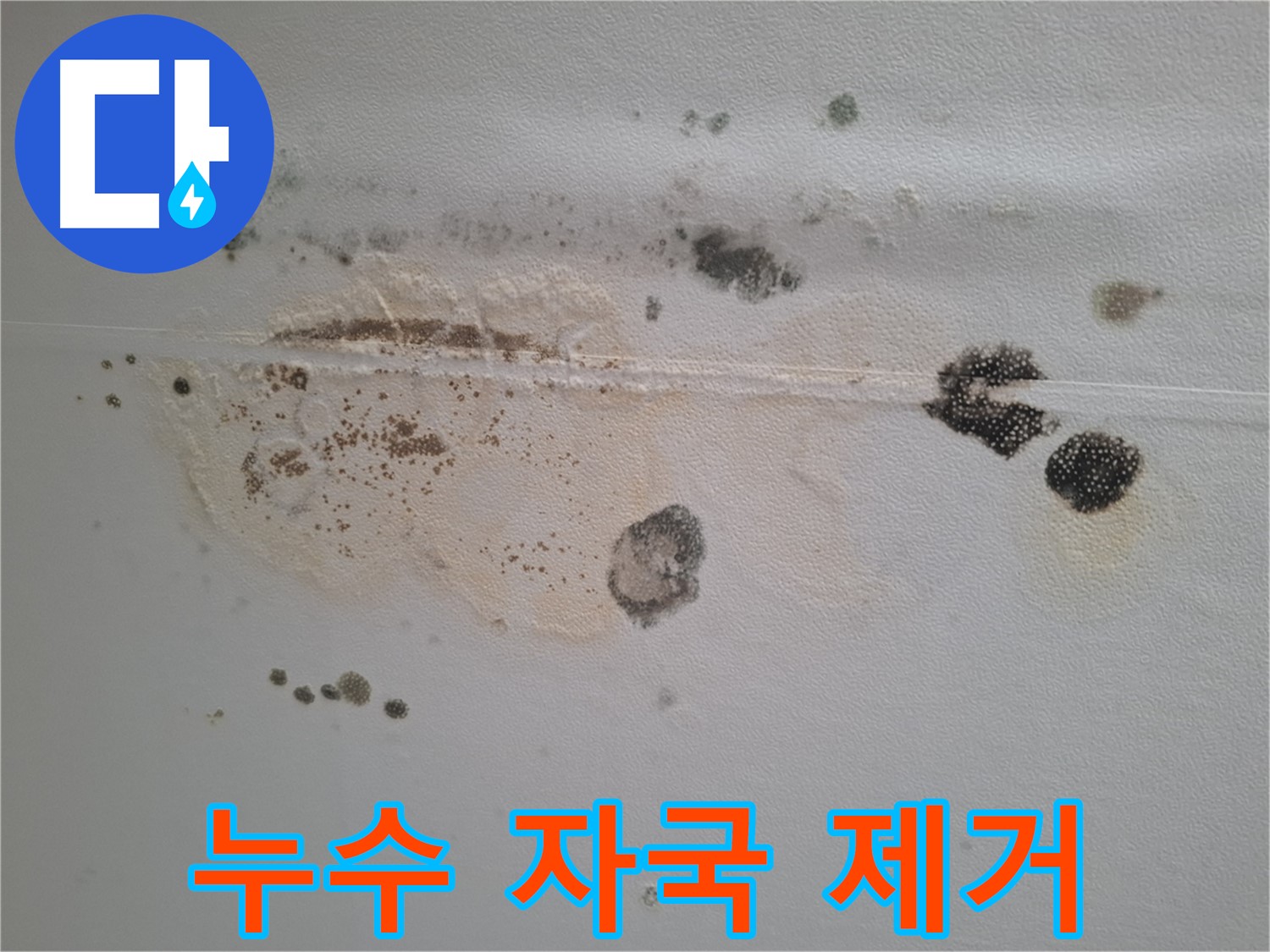 분당 삼평동 아파트 누수 - 곰팡이와 누수 자국 긴급 제거 작업